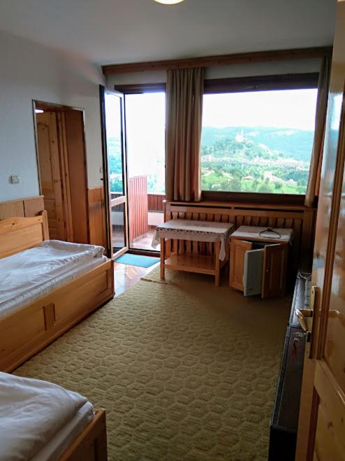Suite with Terrace and Detached Private Bathroom - Free Parking