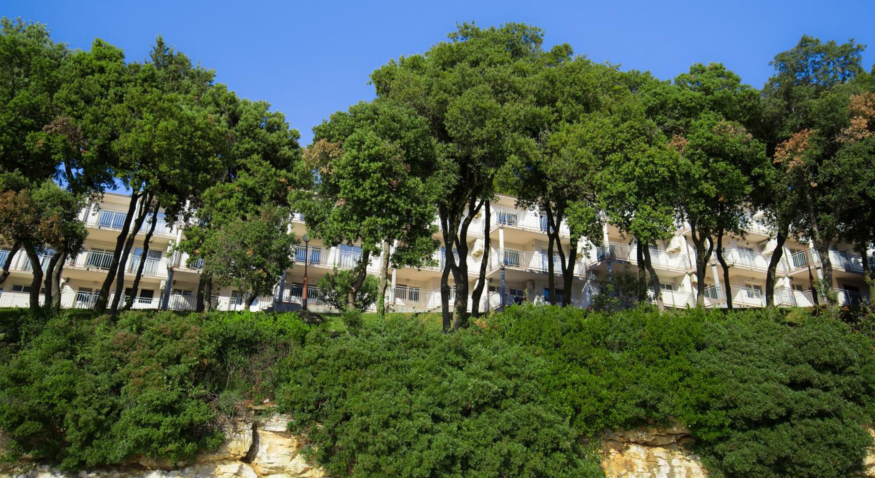 One-Bedroom Apartment with Balcony (4 Adults) photo 2
