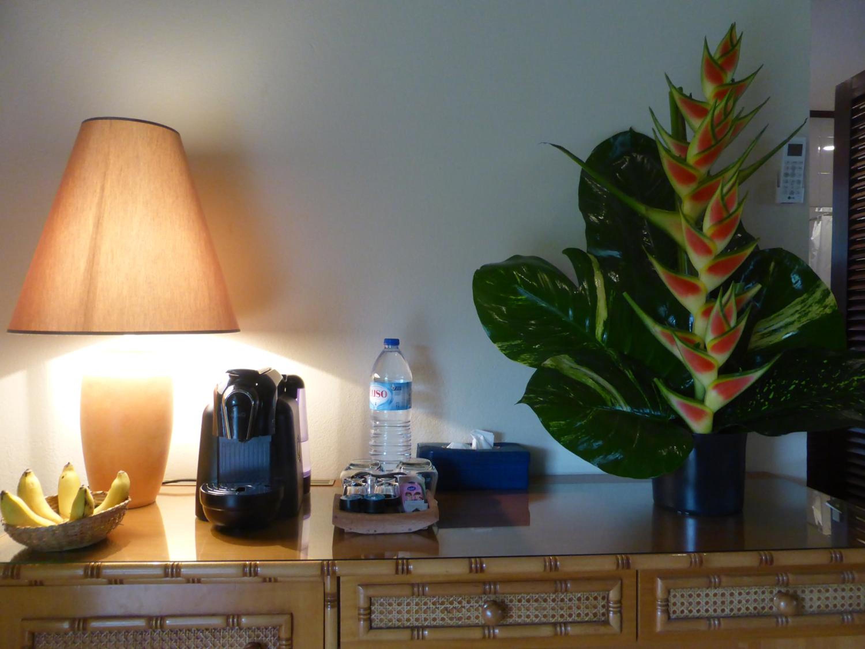 Standard Bungalow photo 3