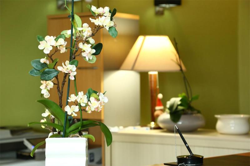 Standard Double Room - Photo 9