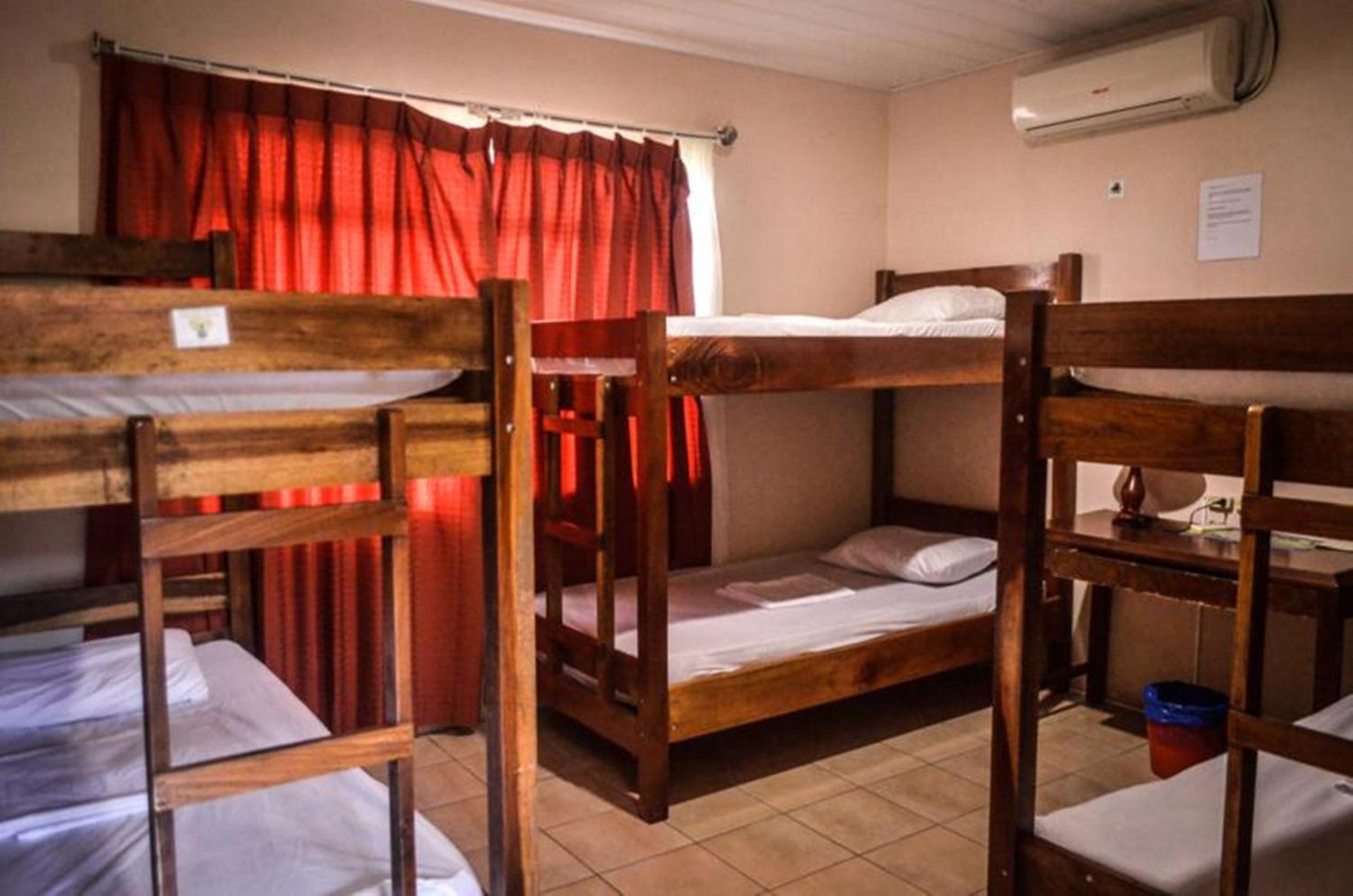Bed in 6-Bed Mixed Dormitory Room