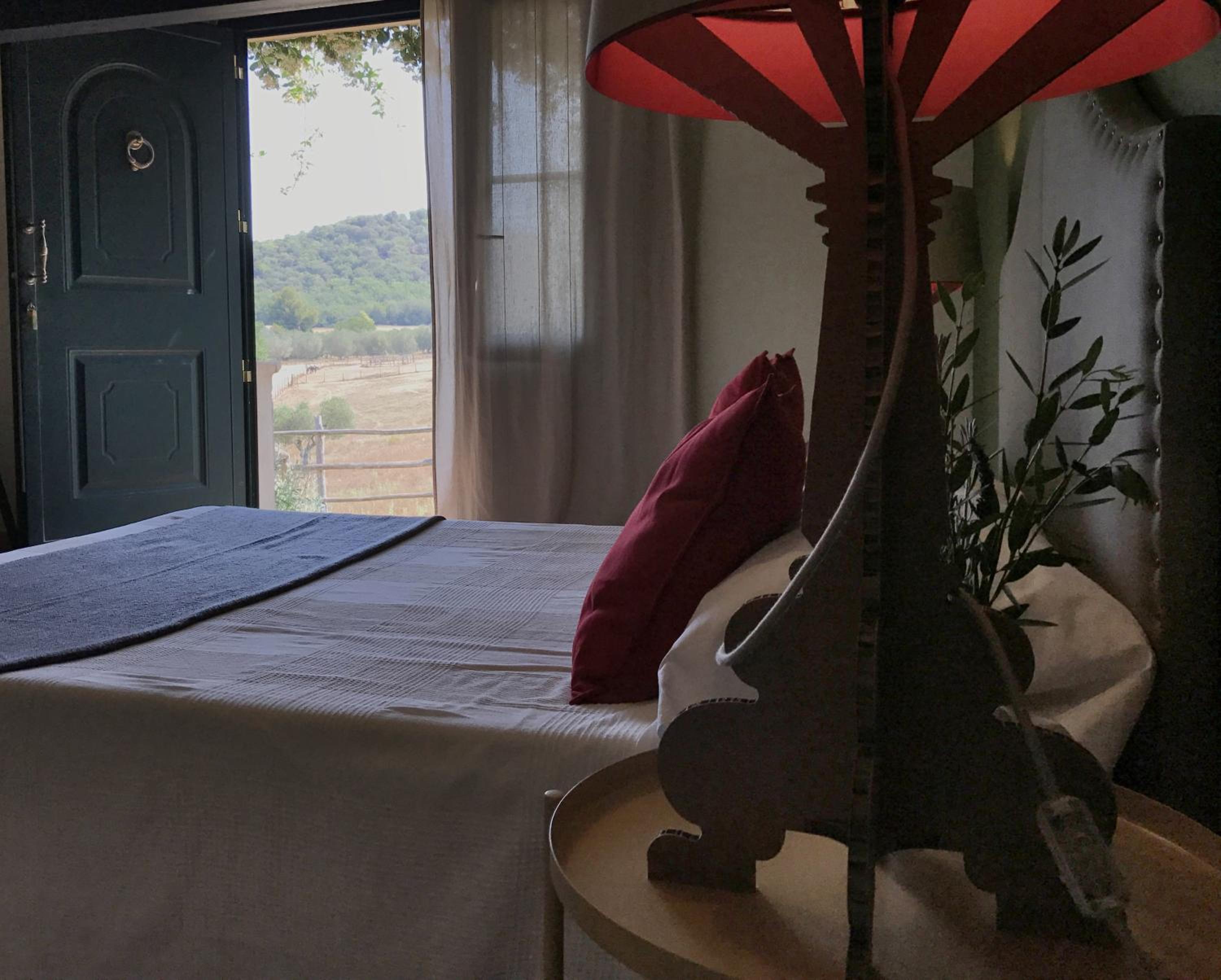 Deluxe Room photo 2