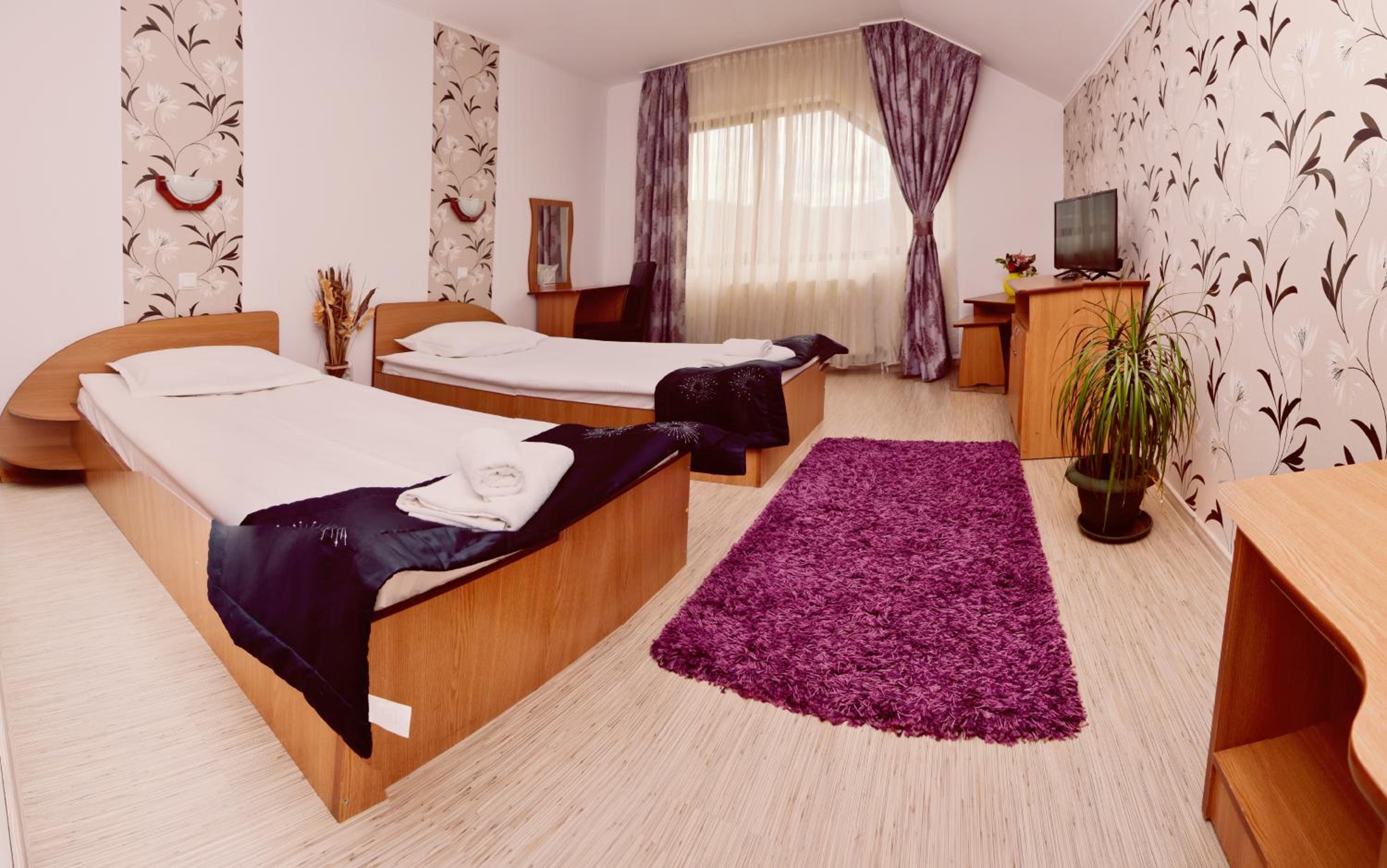Twin Room - Photo 4