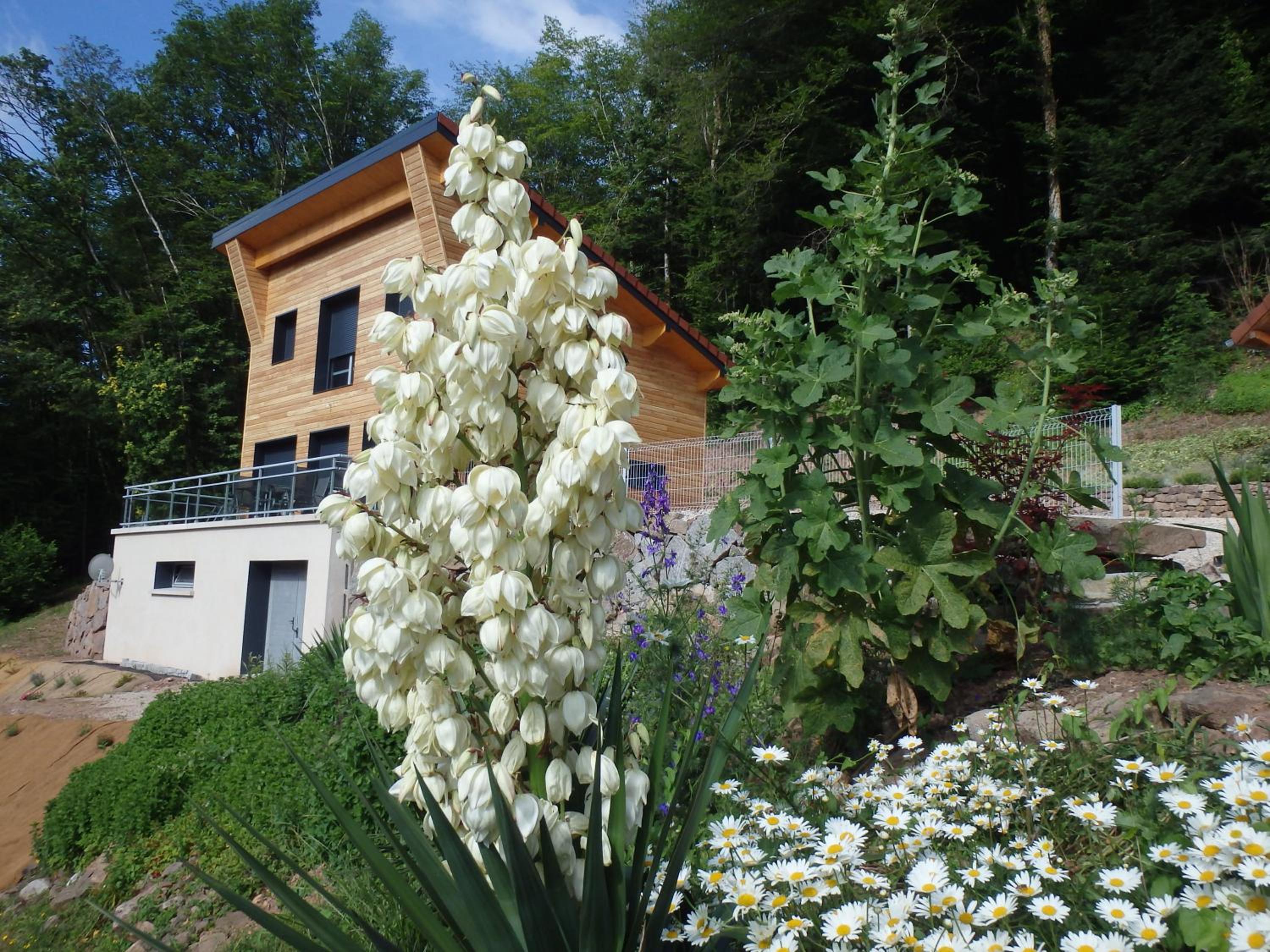 Superior Villa photo 1