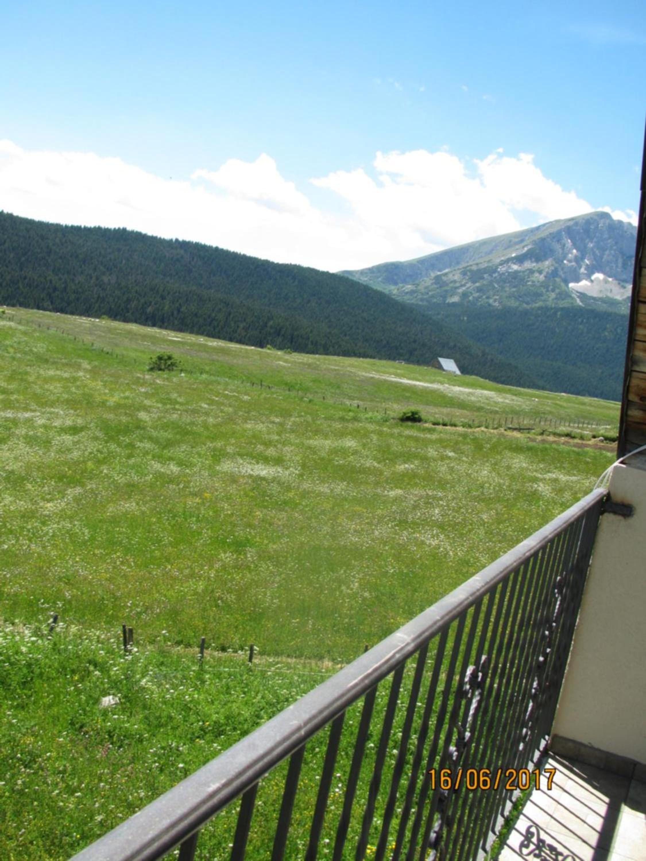 Studio with King Bed and Terrace photo 1