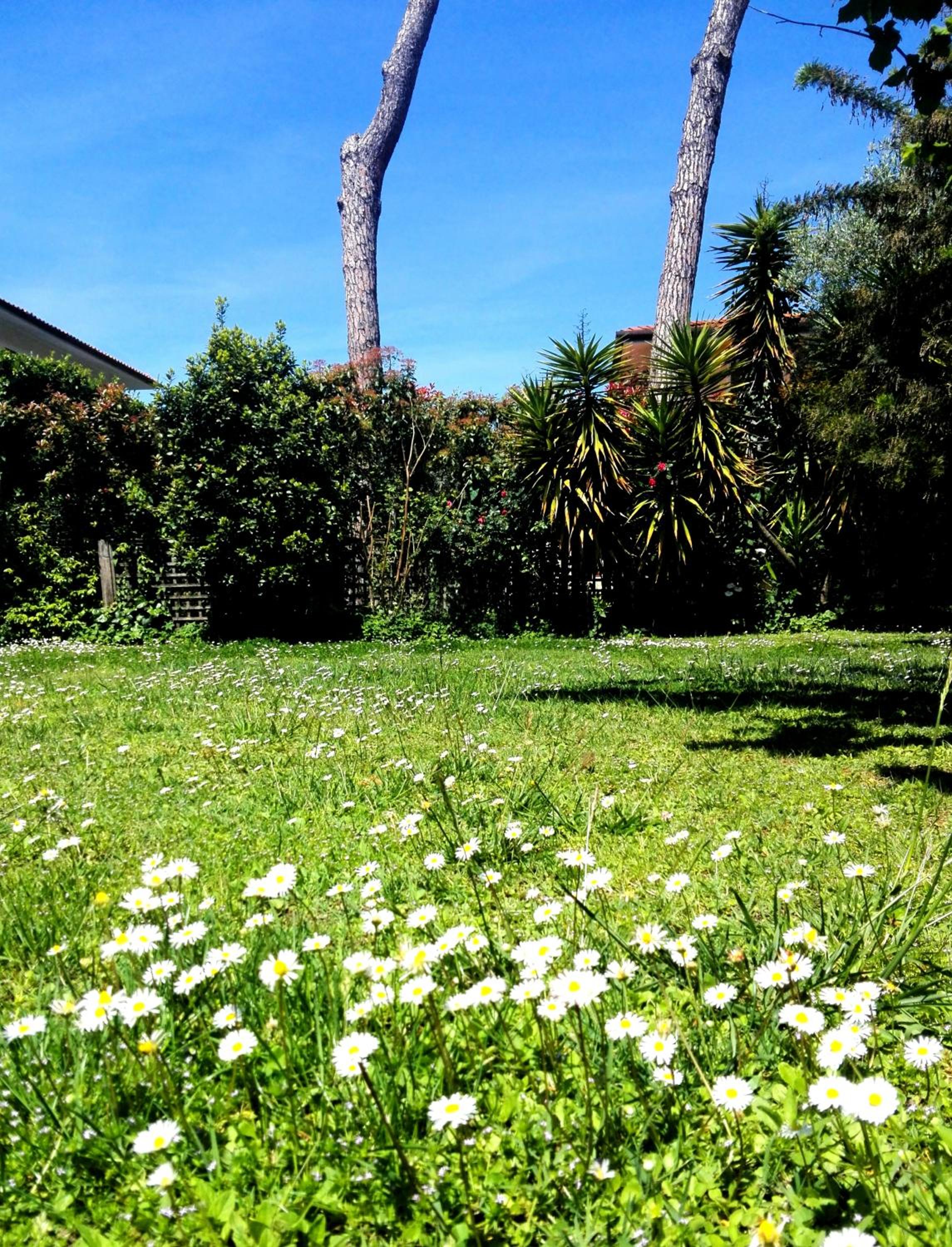 Apartment with Garden photo 3