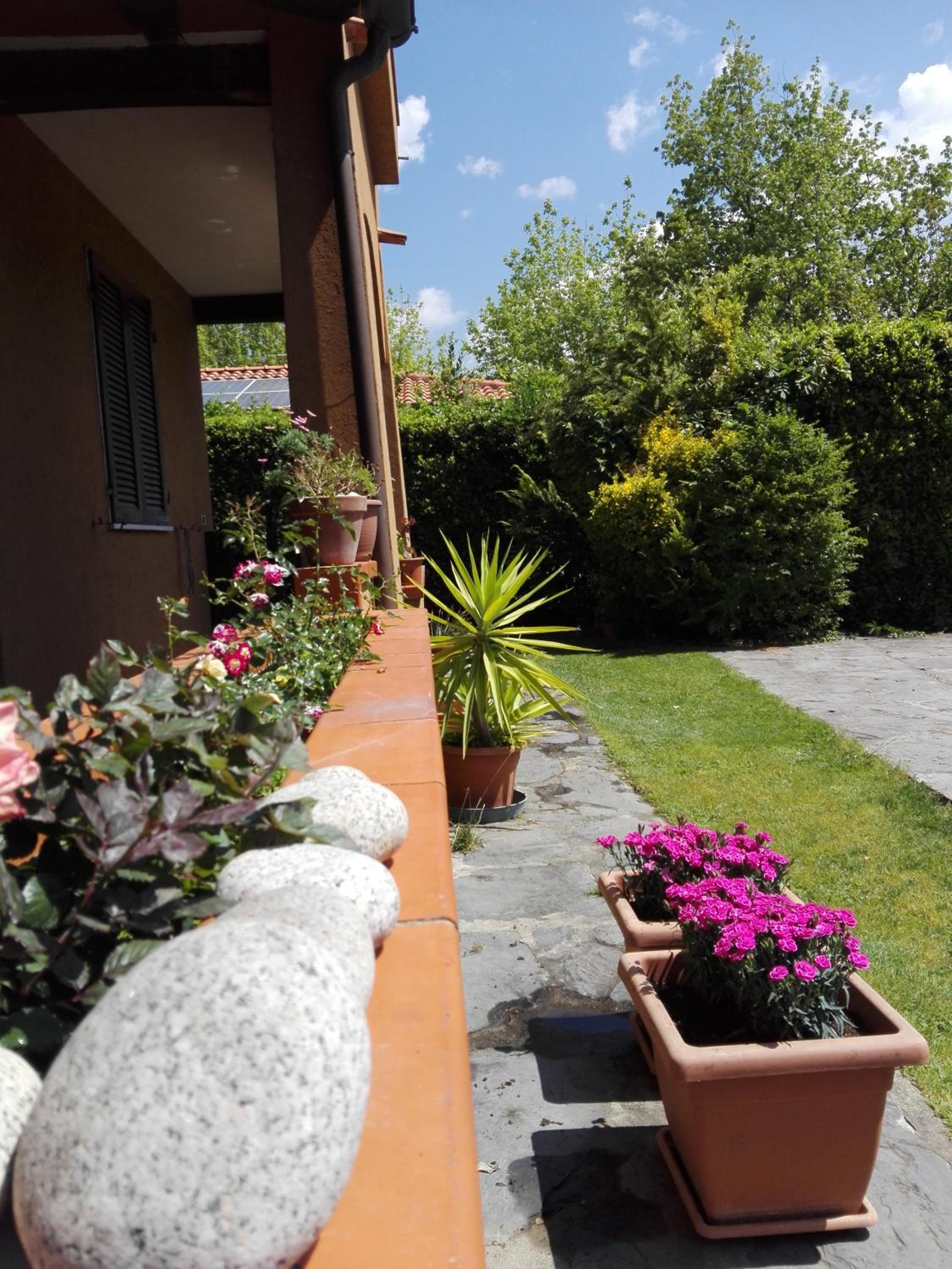 Apartment with Garden photo 2