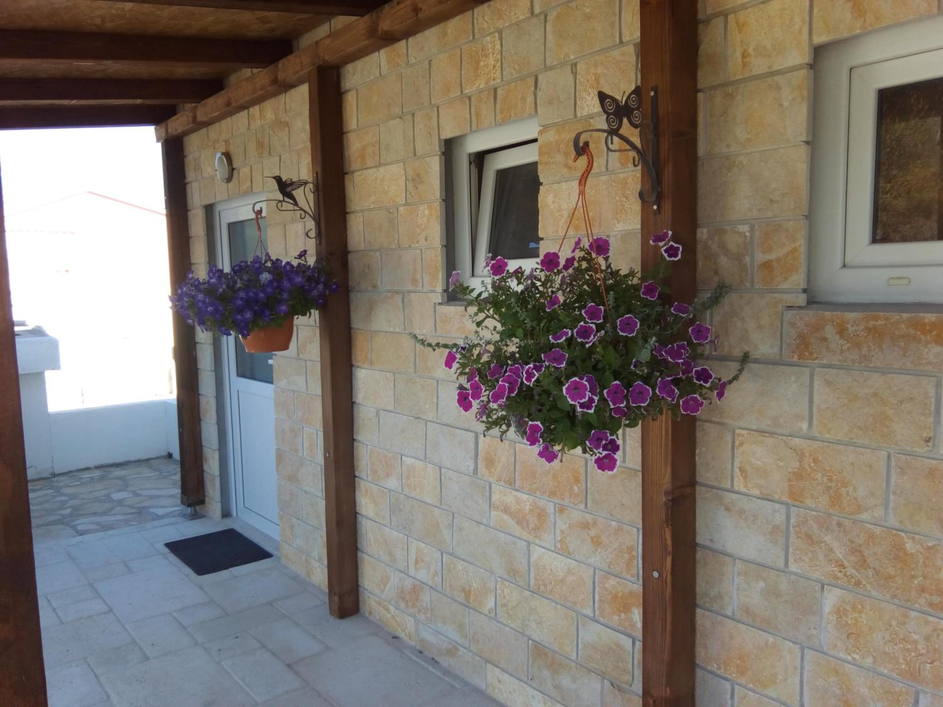 Studio with Sea View photo 3