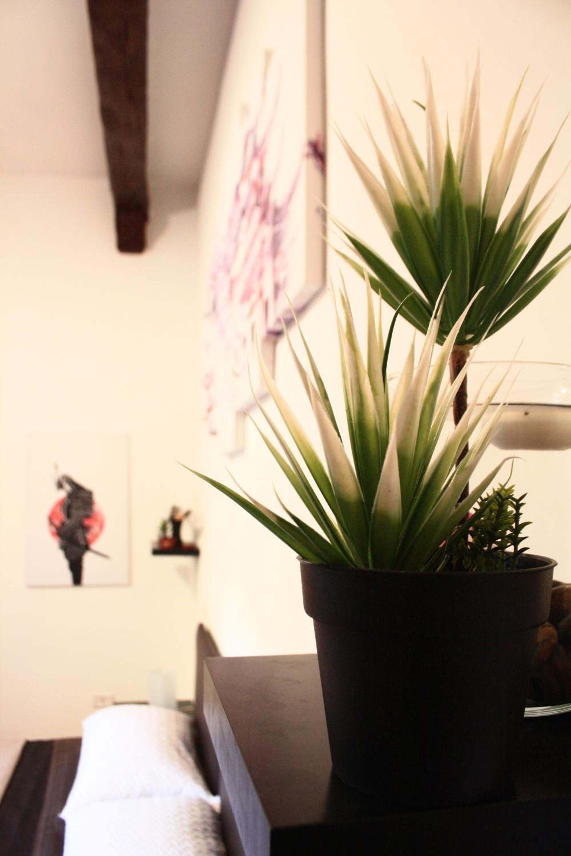 Three-Bedroom Apartment - Photo 7