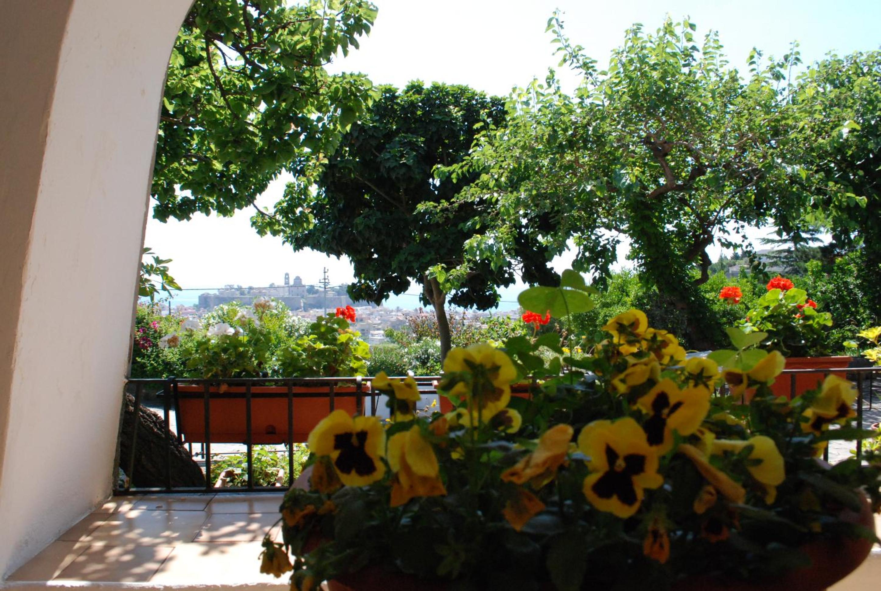 Studio with Garden View - Photo 7