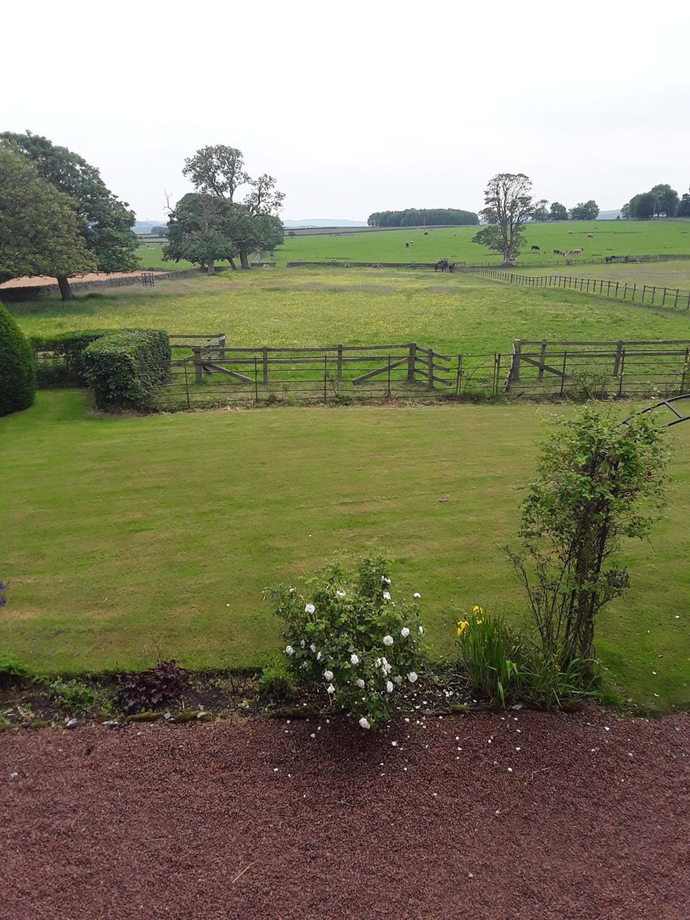 Double or Twin Room with Garden View photo 3