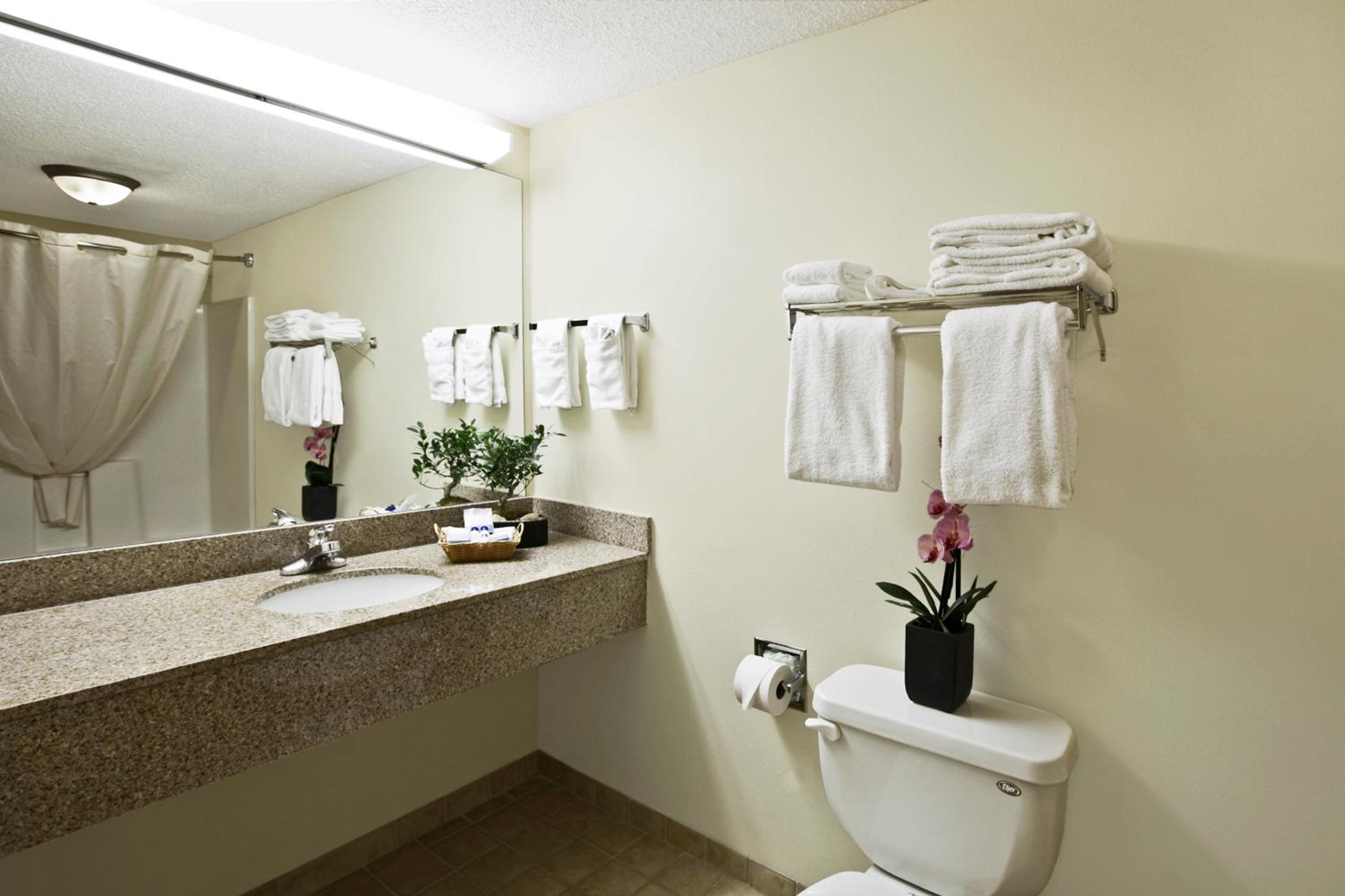 King Room - Non-Smoking - Photo 8