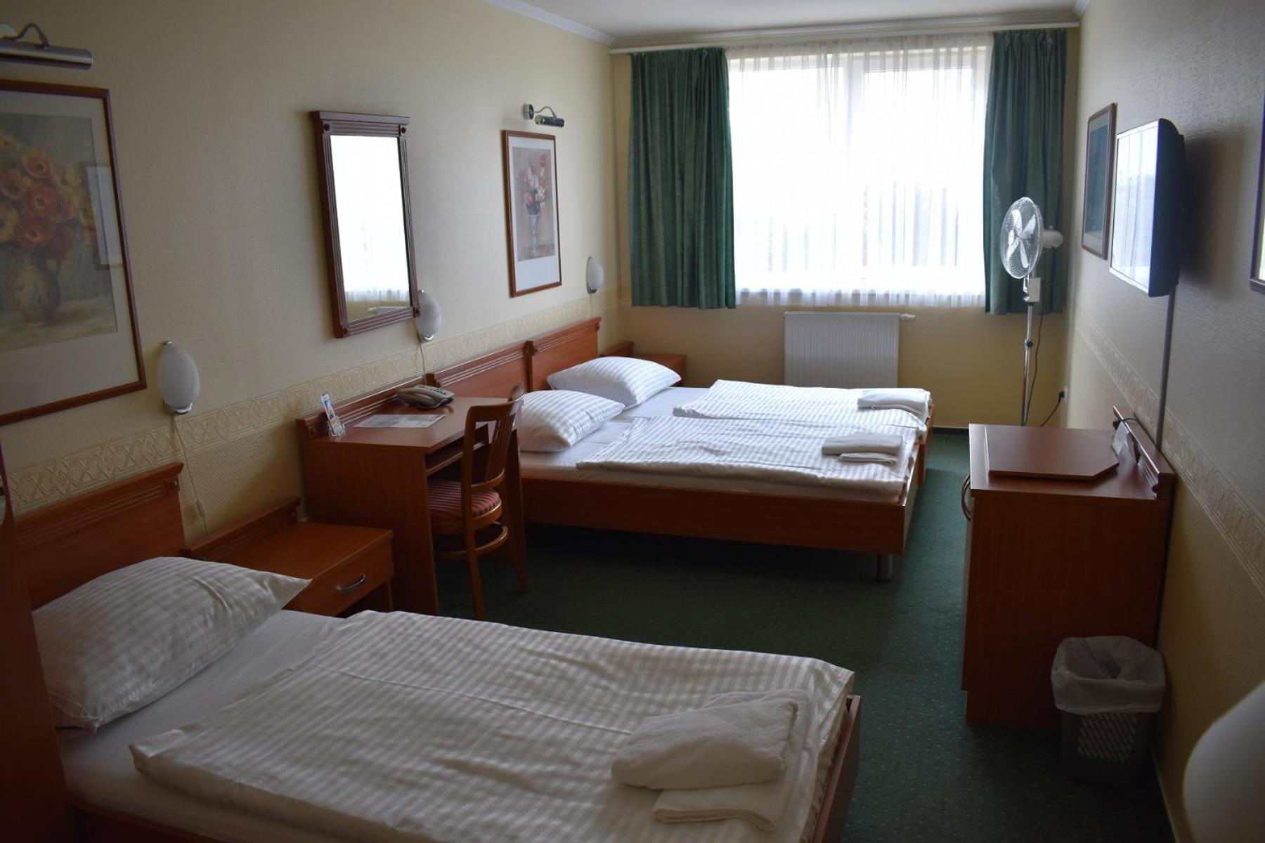 Budget Triple Room photo 2
