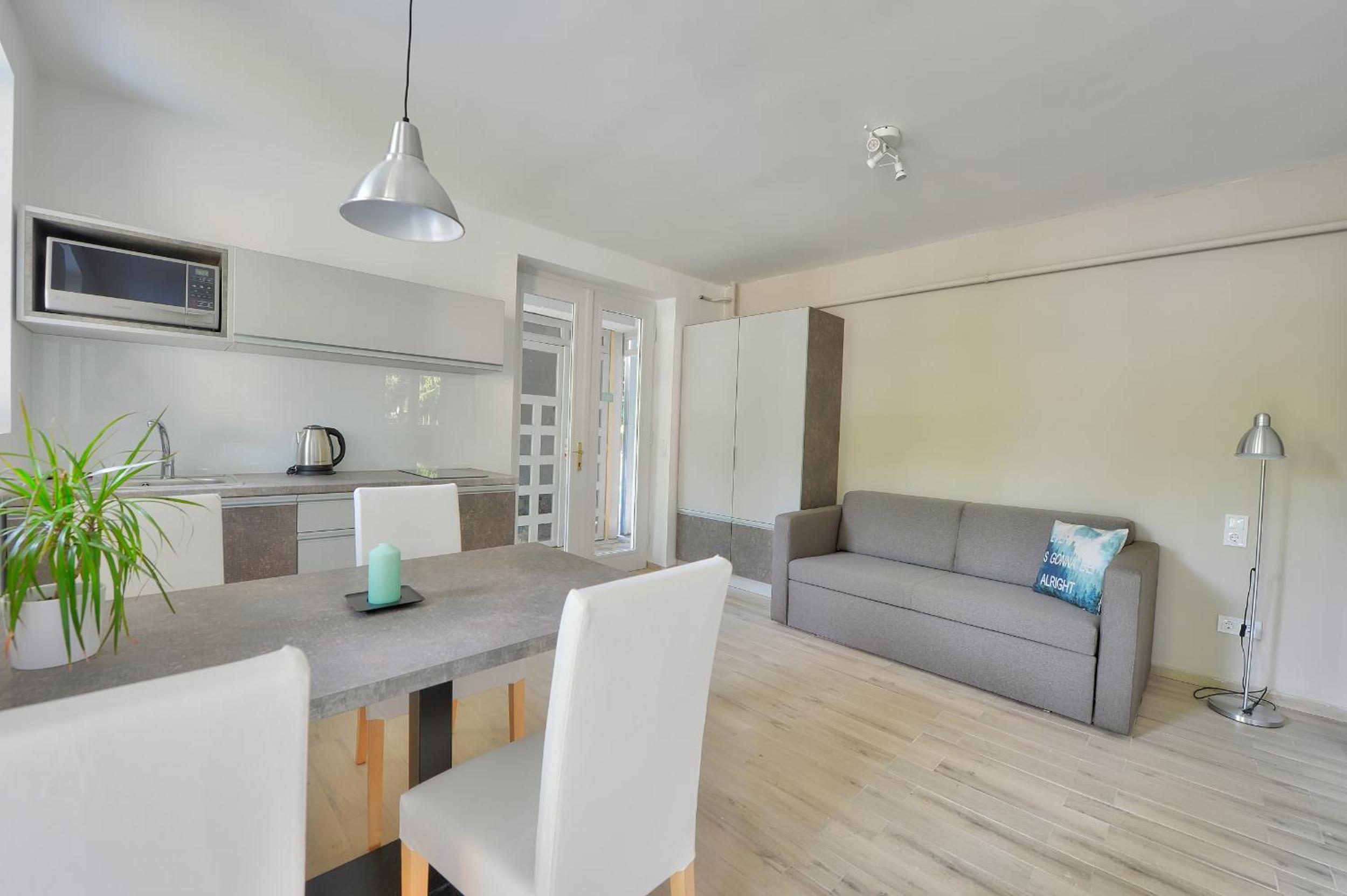 Premium One-Bedroom Apartment with Terrace or Balcony photo 1