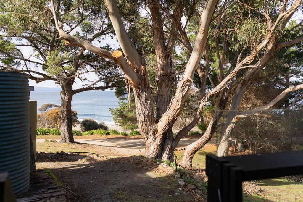 Four-Bedroom Deluxe Home - Oceanfront