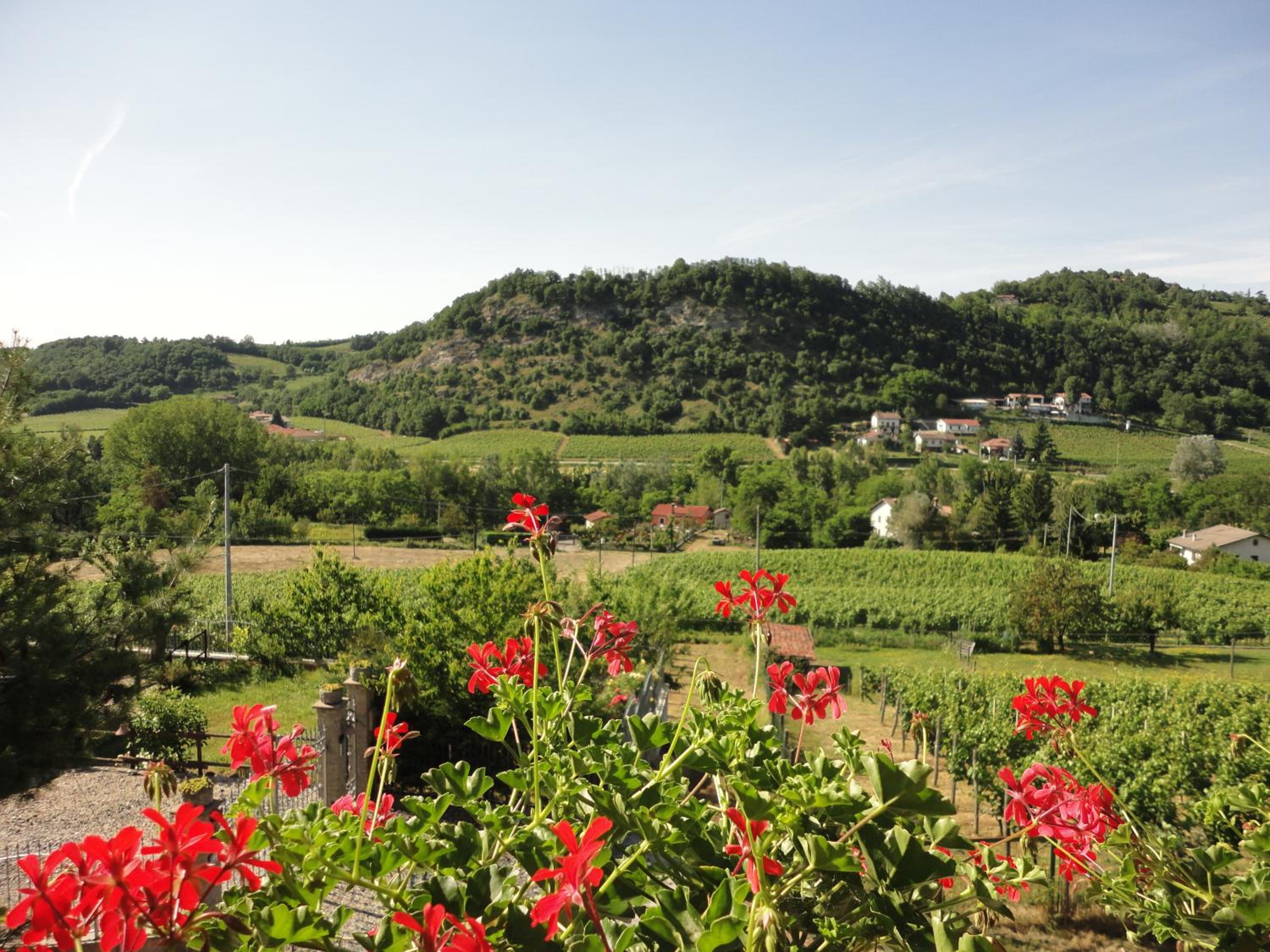 Suite with Garden View - Photo 2