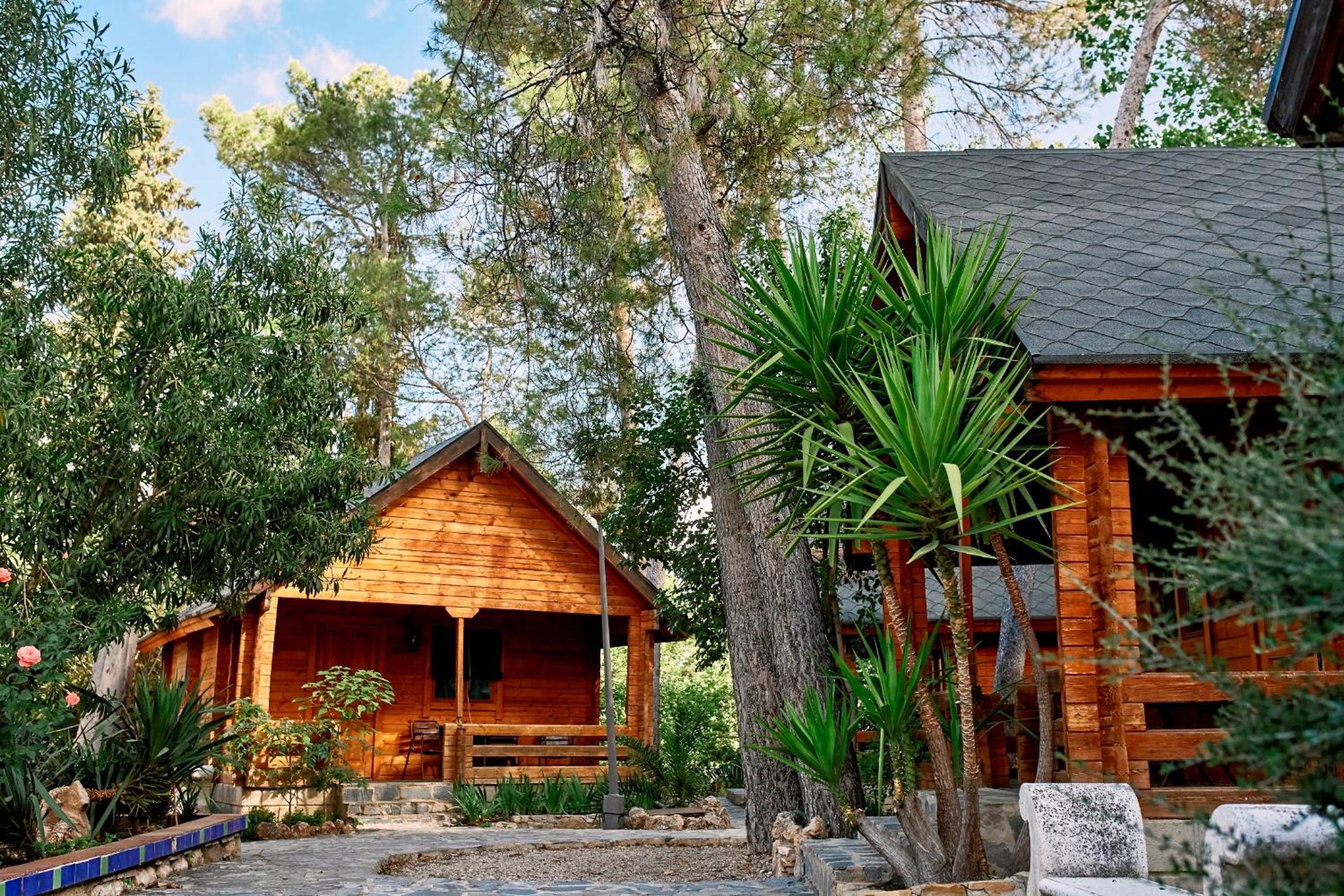 Bungalow (4 Adults) photo 3