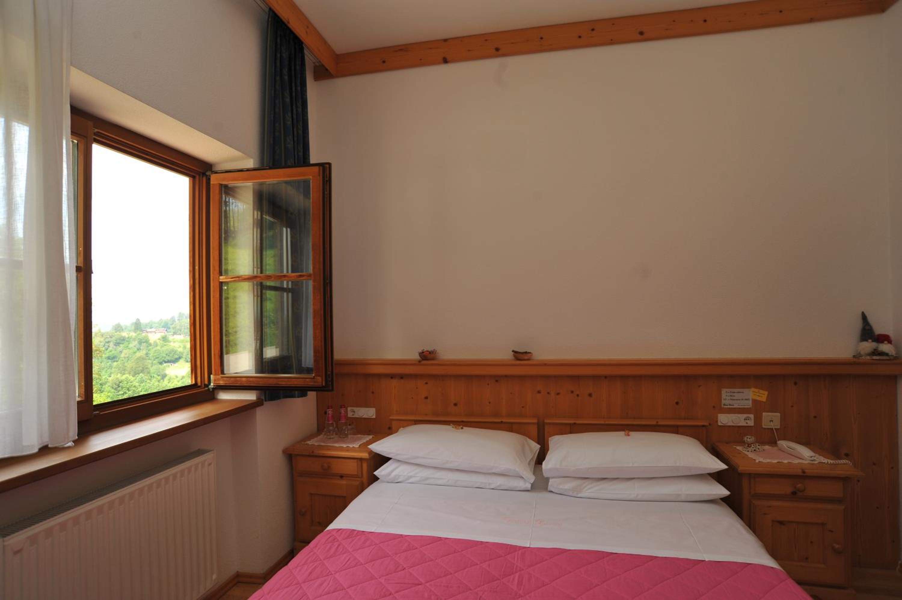 Double Room with Mountain View photo 3