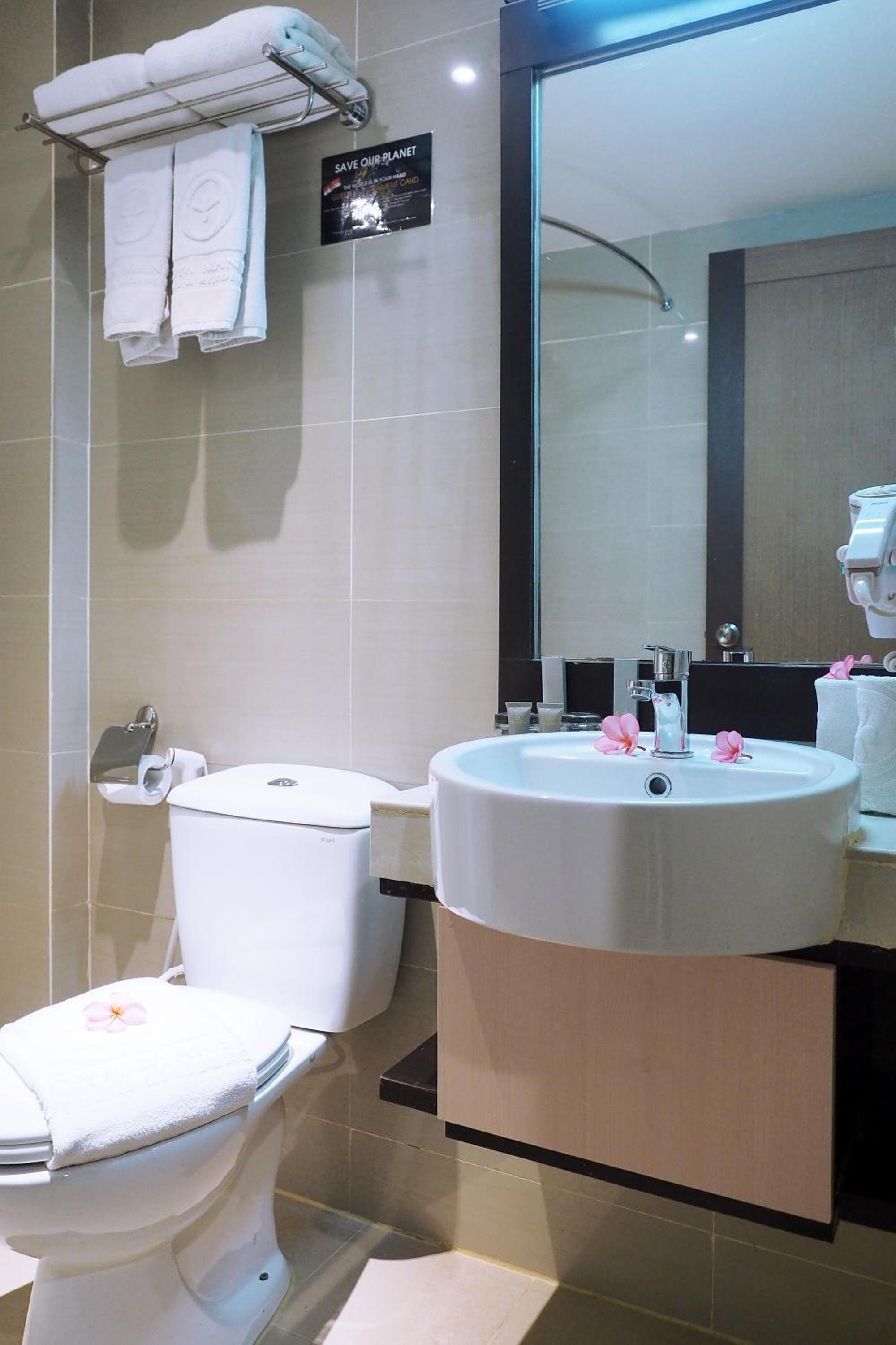 Deluxe Double or Twin Room photo 2