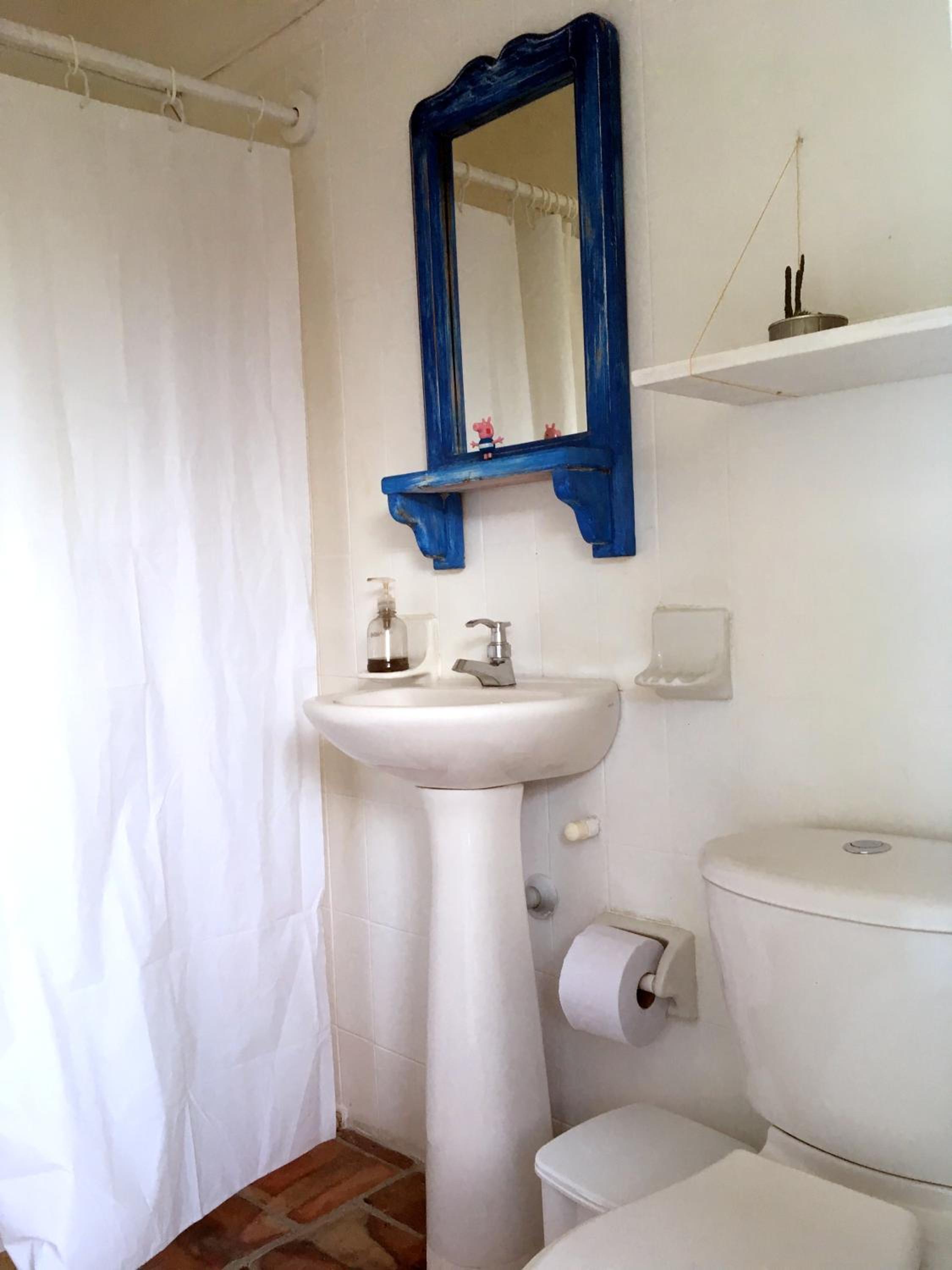 Single Room photo 3