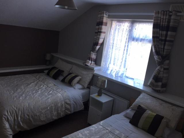 Twin Room photo 2