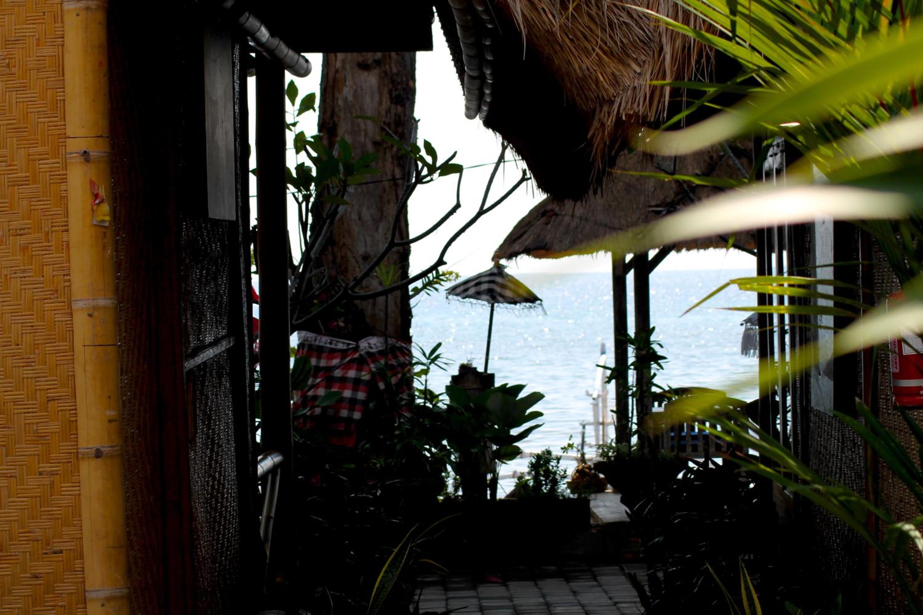 Double Room with Pool View photo 3