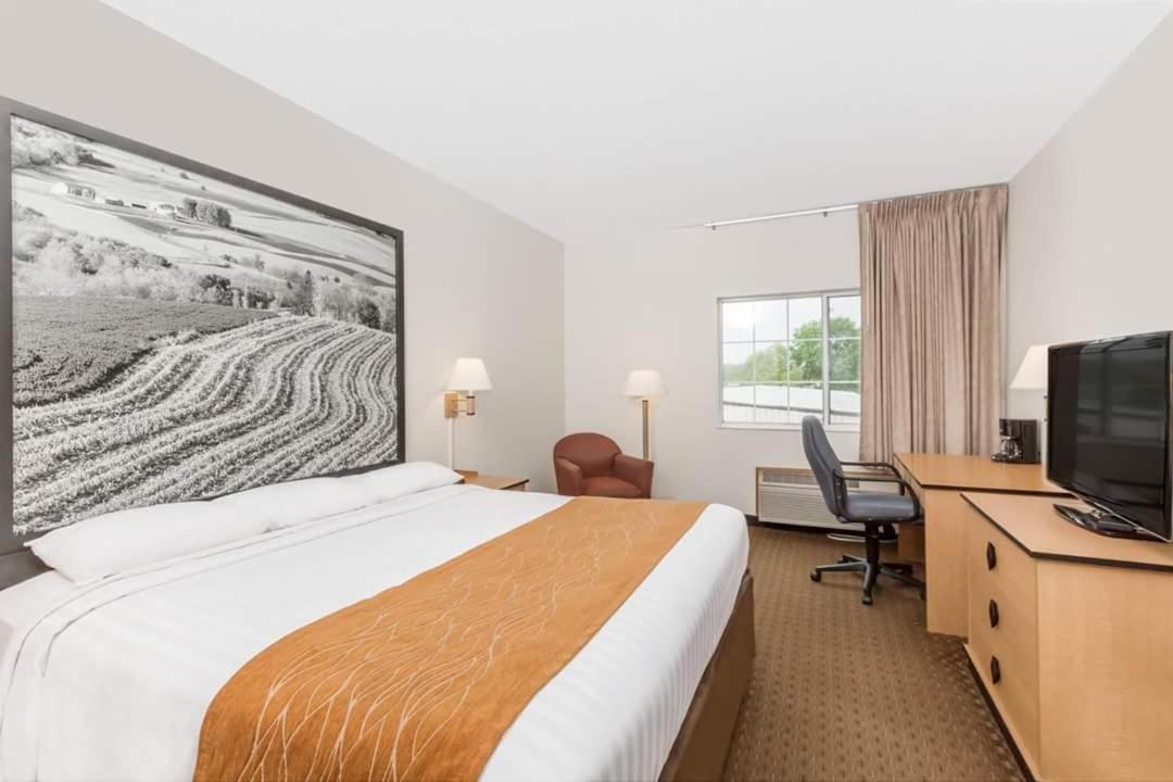 1 King Bed Non-Smoking - Photo 8
