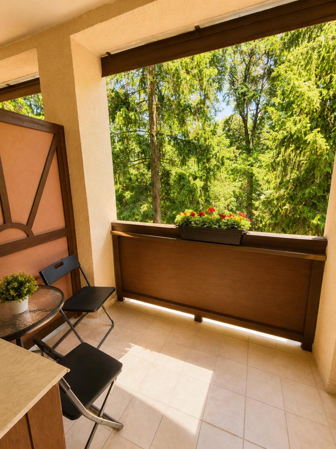 Two-Bedroom Apartment with Balcony and Terrace