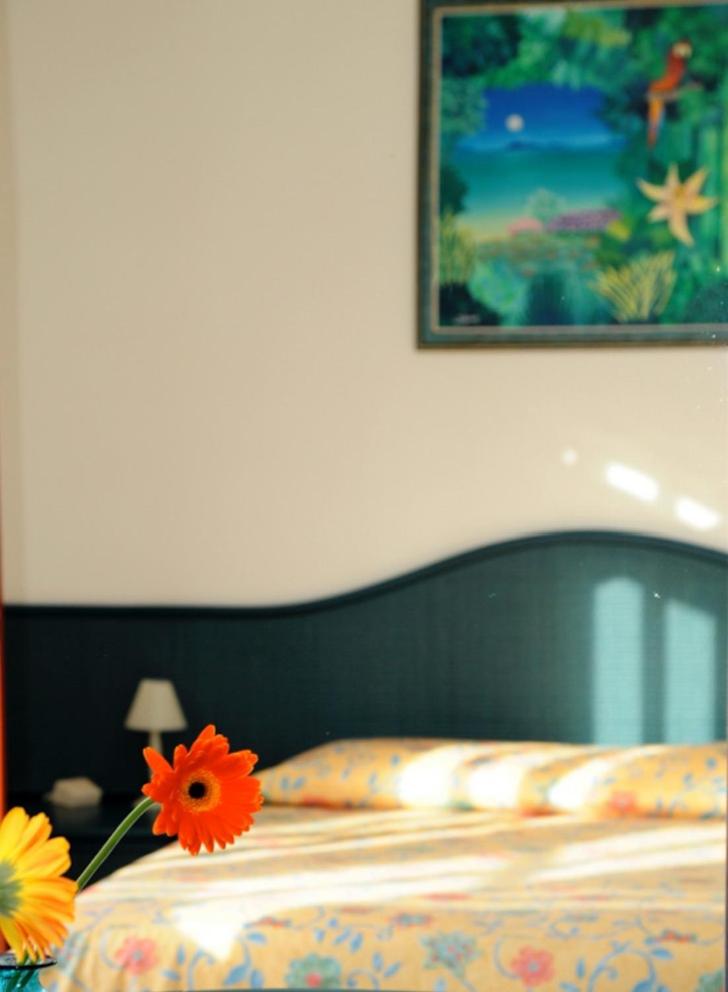 Standard Double Room - Photo 1