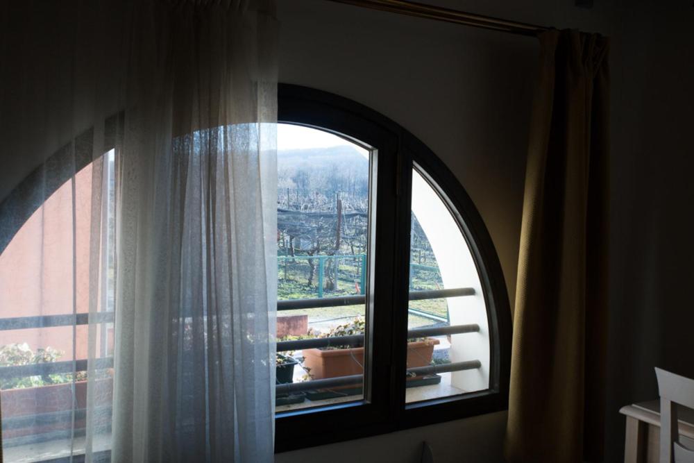 Double Or Twin Room photo 3