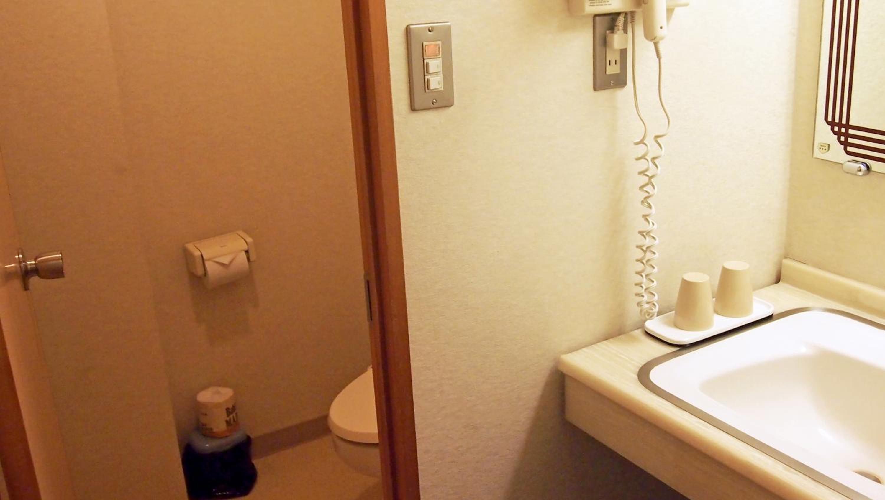 Japanese-Style Room photo 2