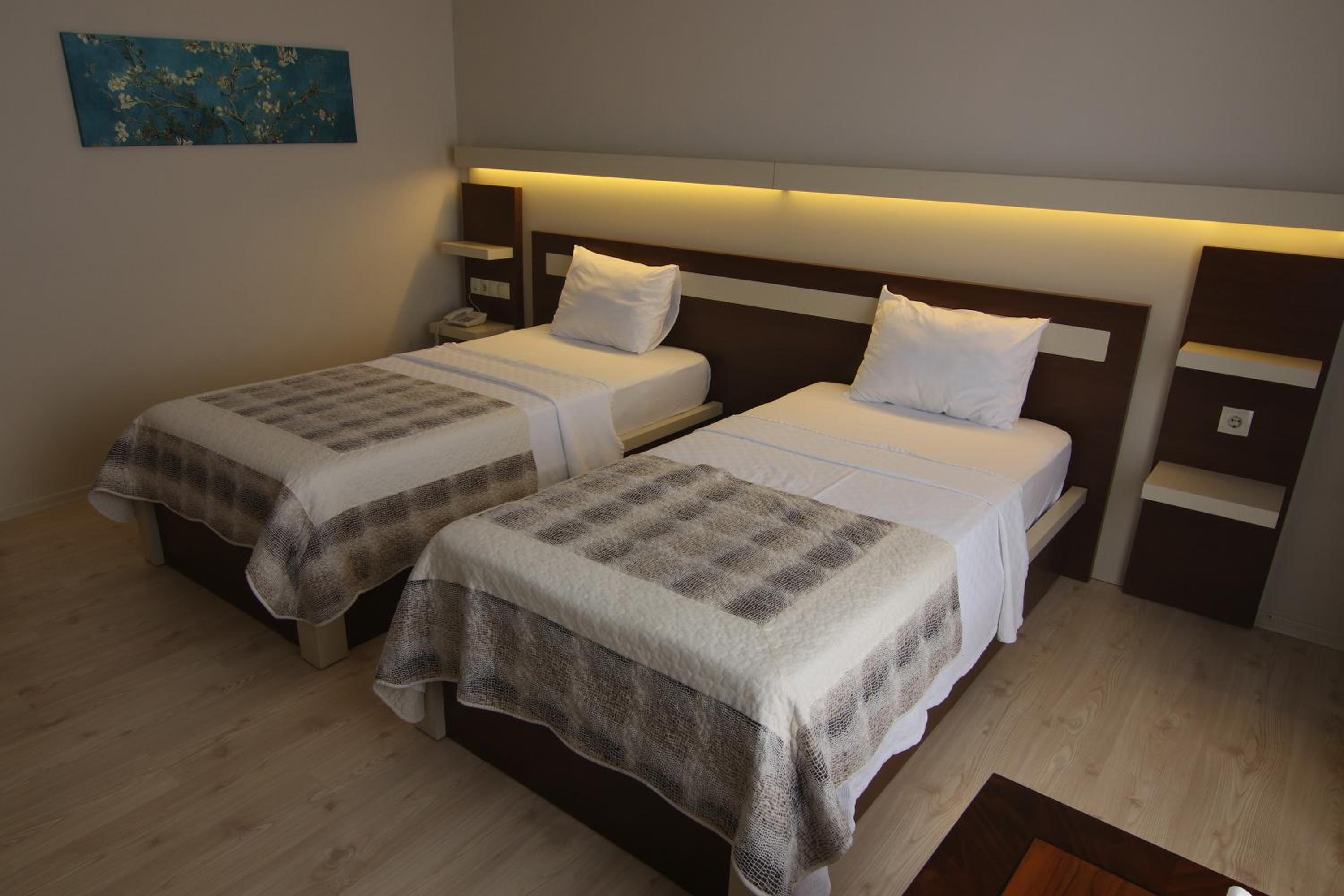 Double or Twin Room photo 2