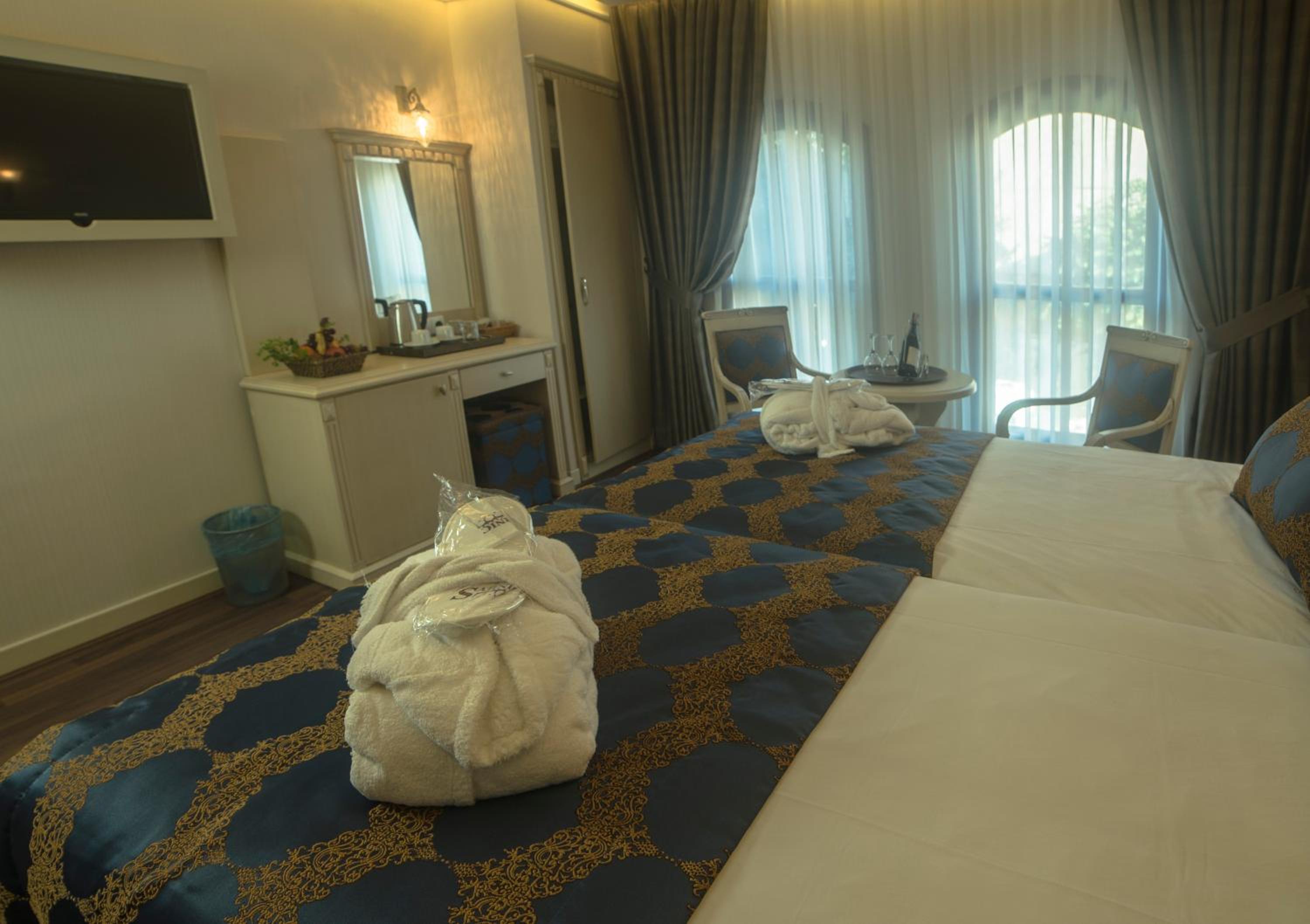 Deluxe Double or Twin Room photo 3