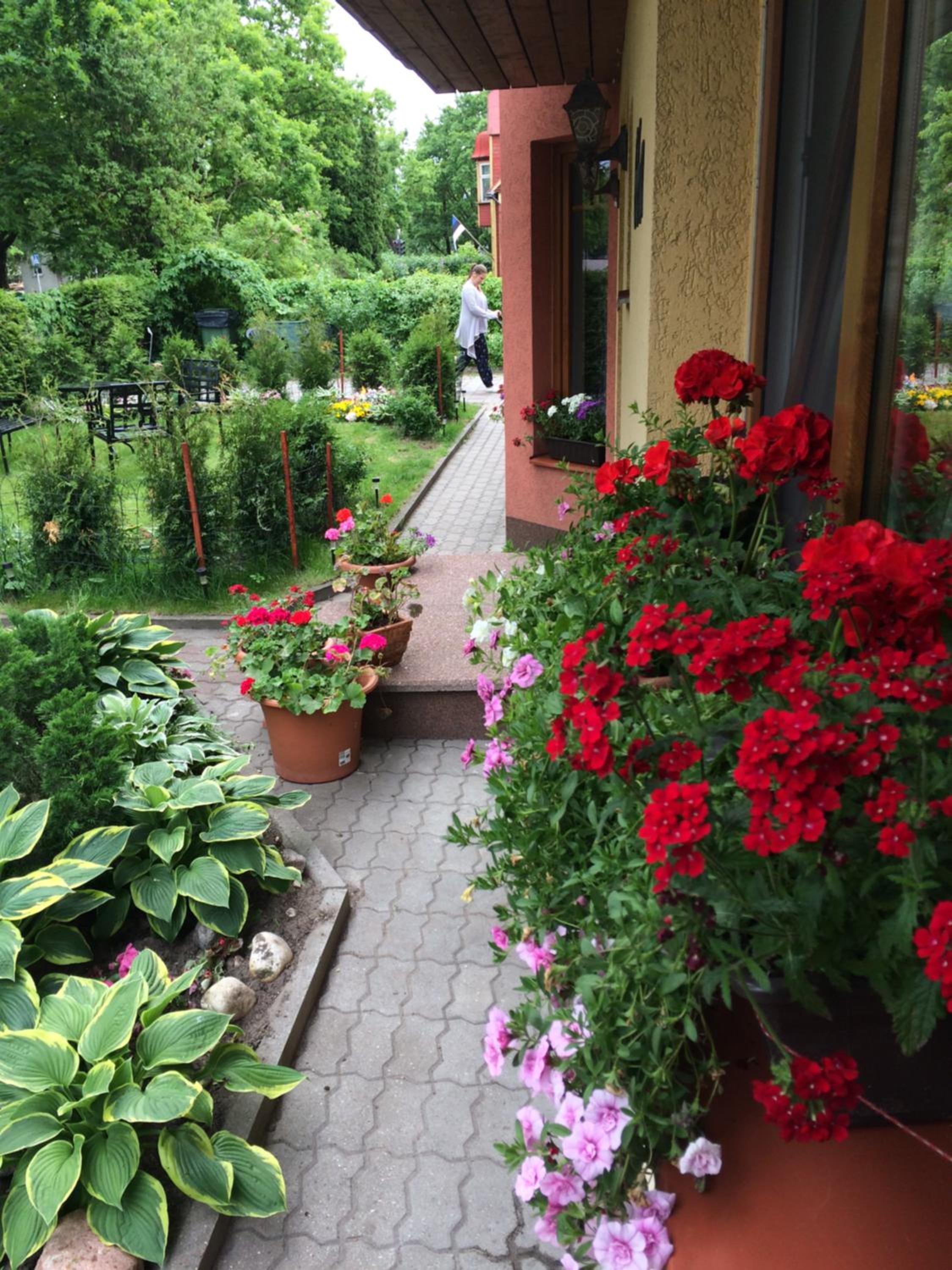 Quadruple Room with Terrace - Photo 2