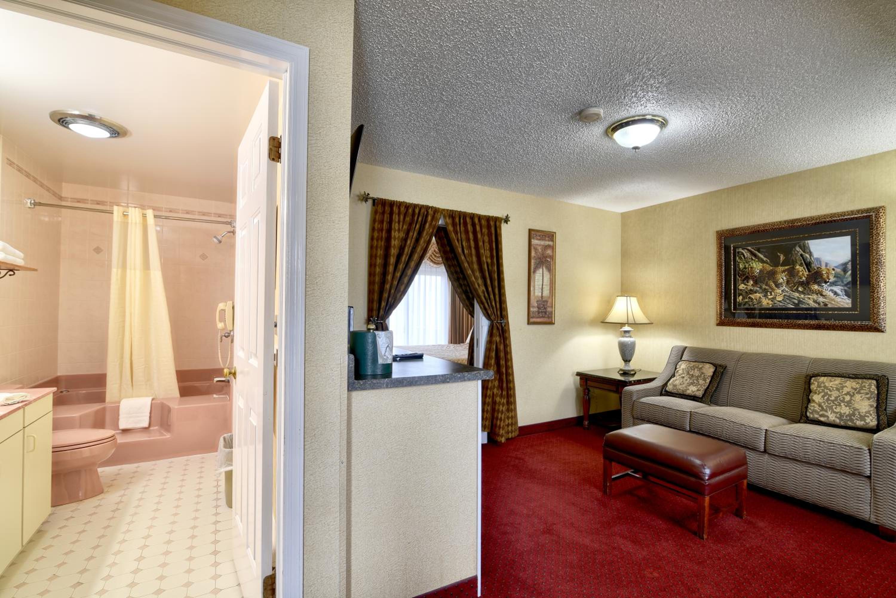 King Suite with Lawn view  - Photo 8