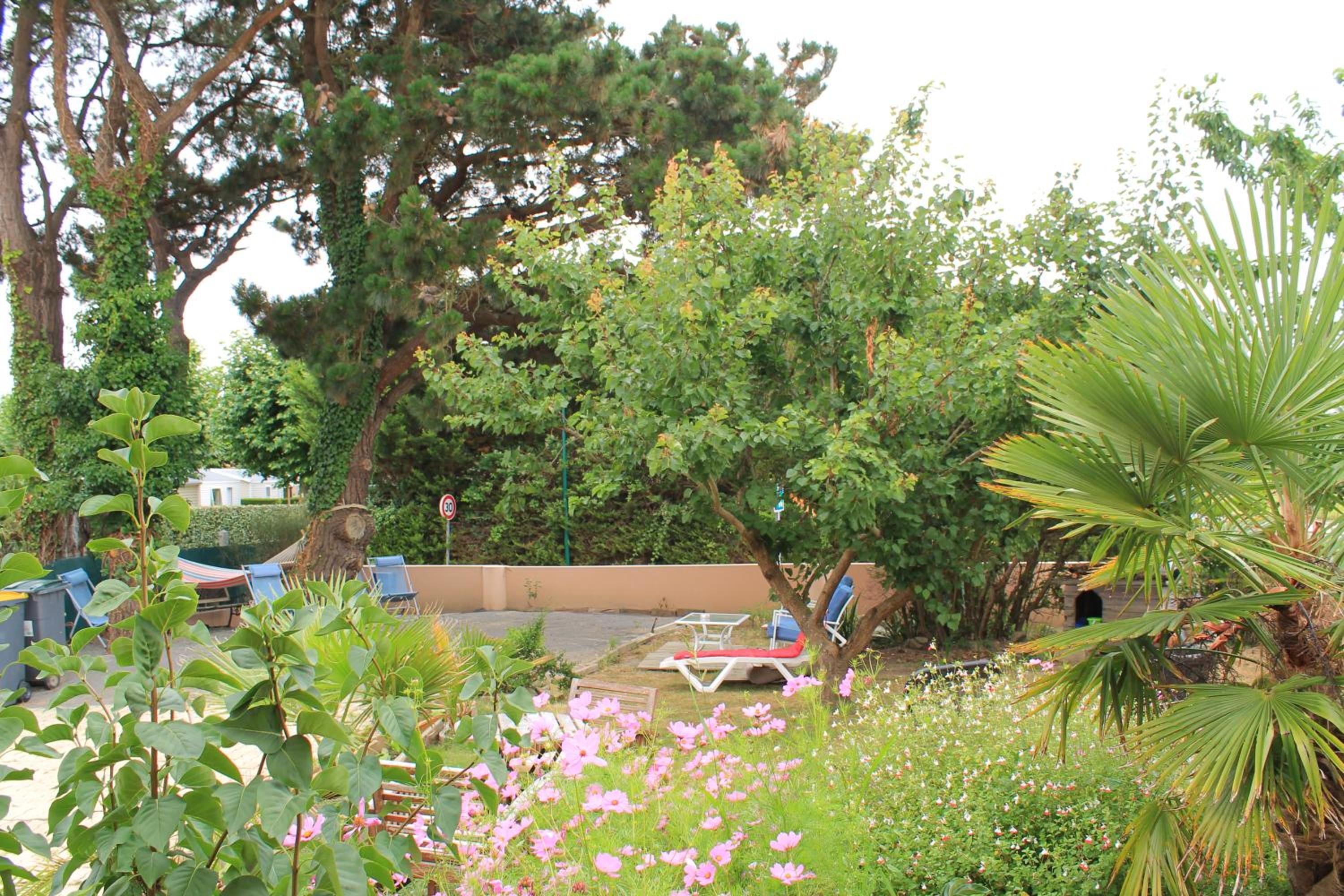 Apartment - Photo 41