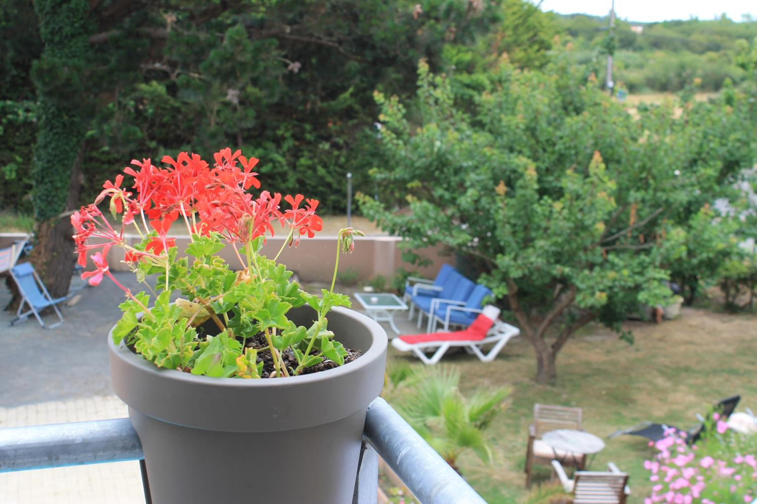 Apartment - Photo 45