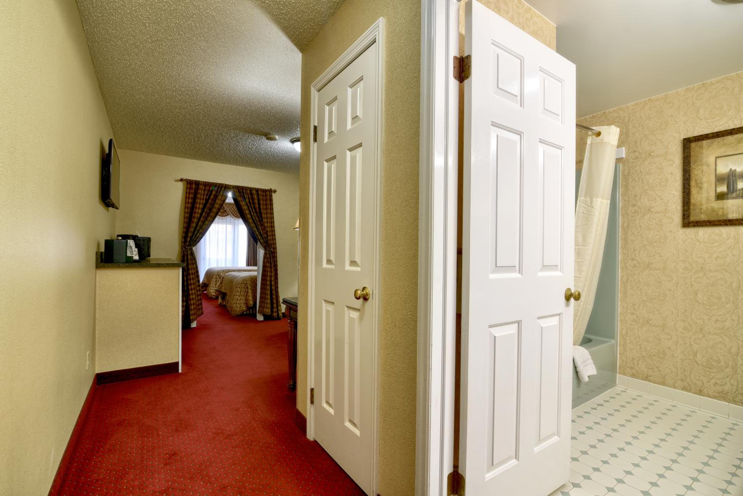 King Suite with Lawn view  - Photo 6