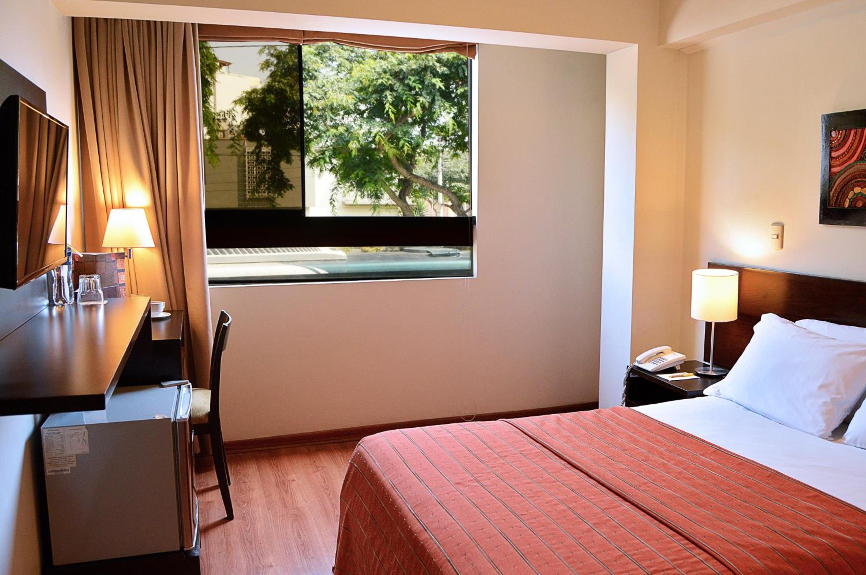 Single Room photo 3
