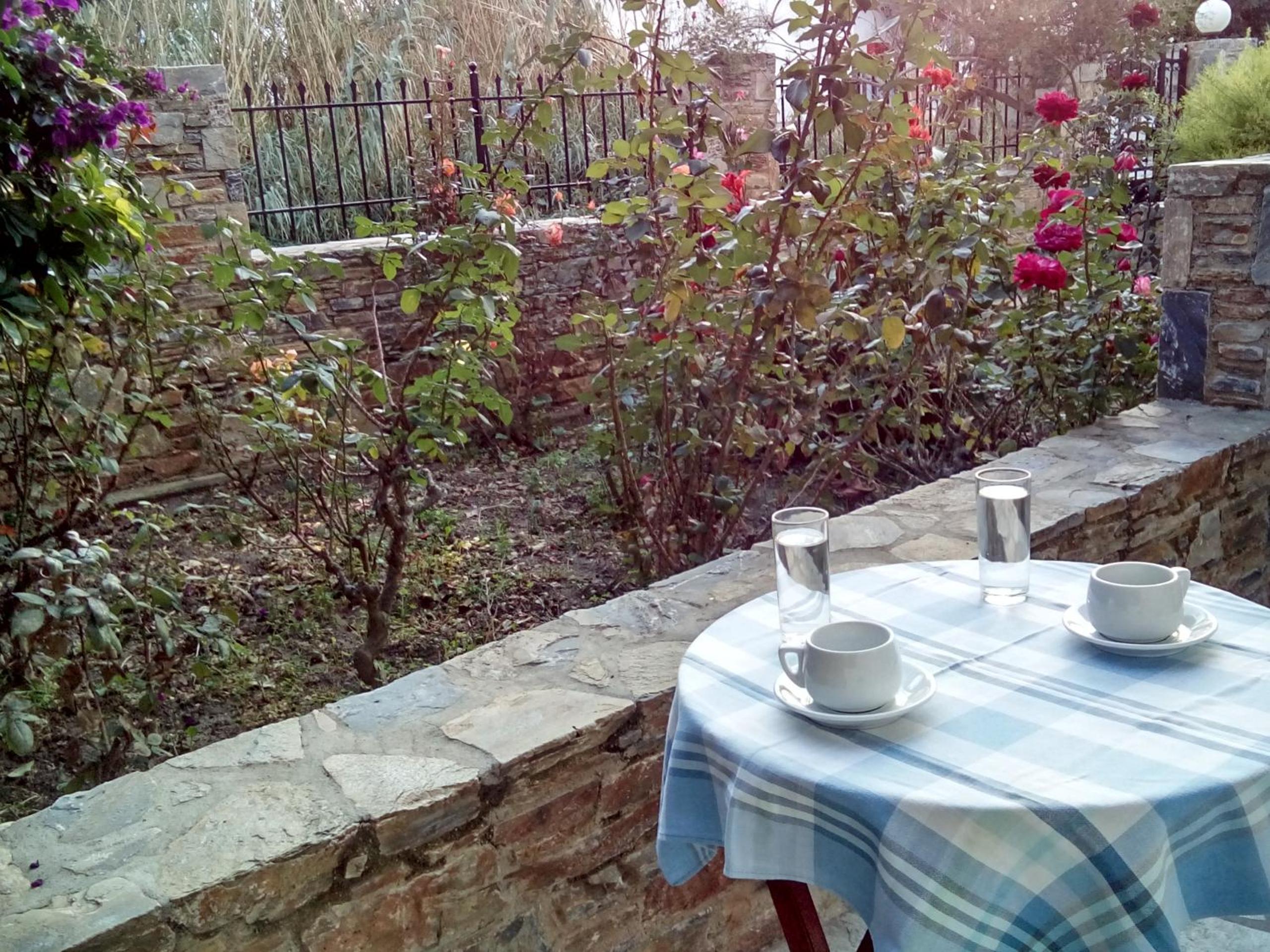 Studio with Garden View