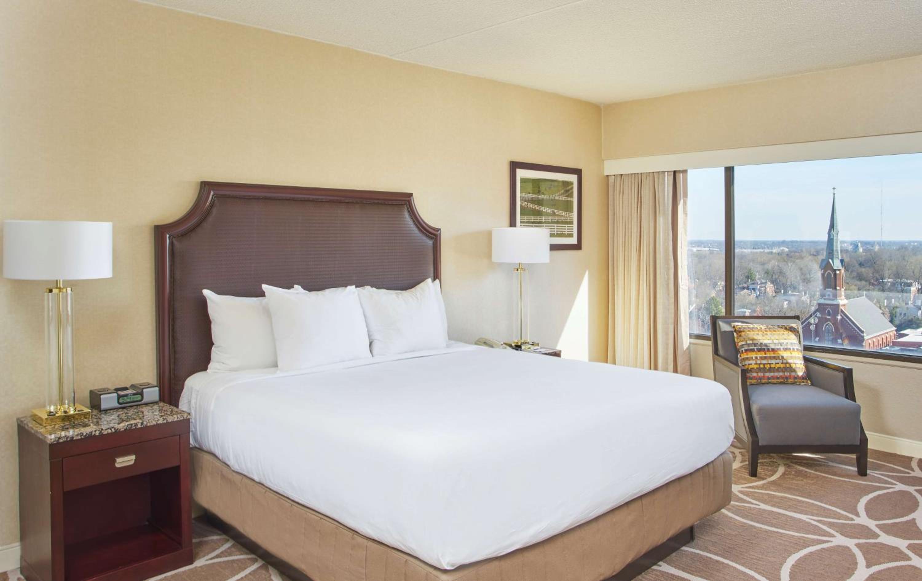Allergy Friendly King Room - Photo 5
