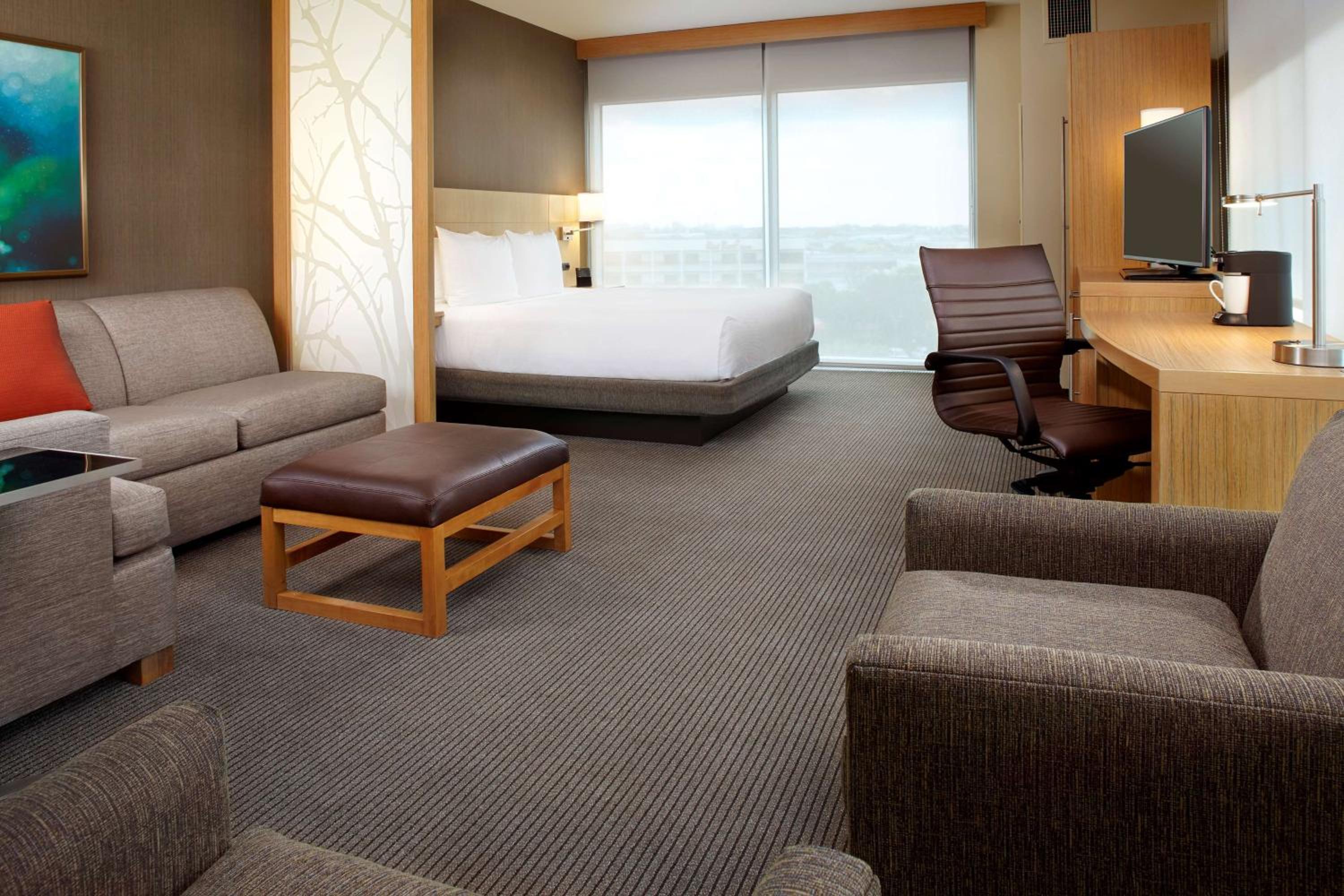 Specialty King Room with Sofa Bed photo 2