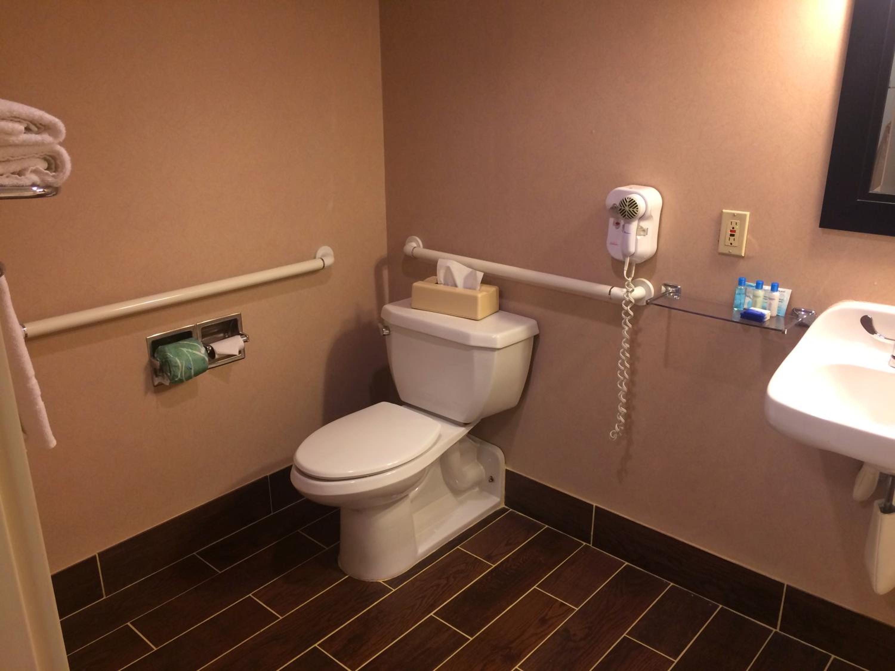 King Room with Bath Tub - Mobility Accessible/Non-Smoking - Photo 5