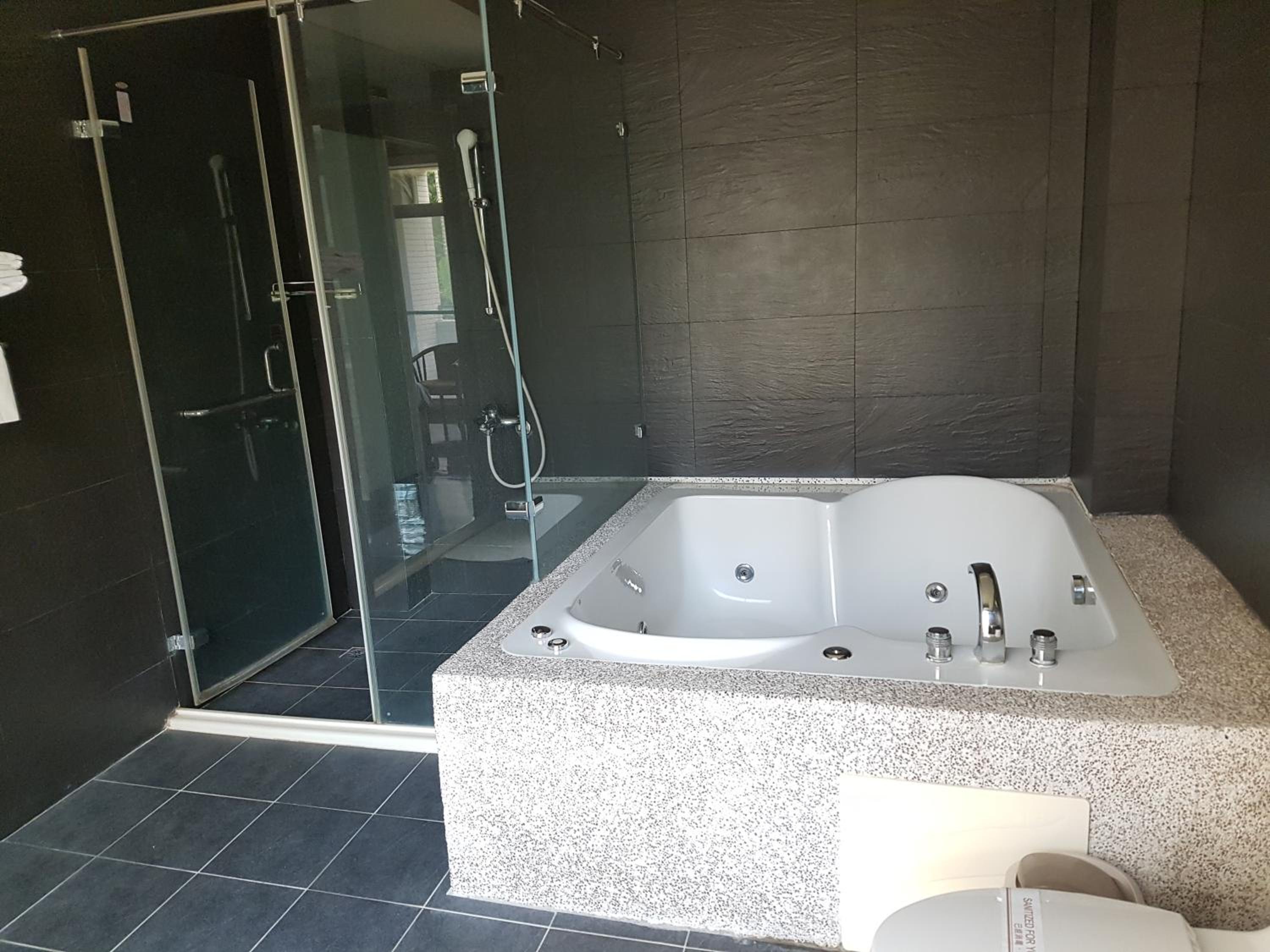 Deluxe Double or Twin Room photo 3