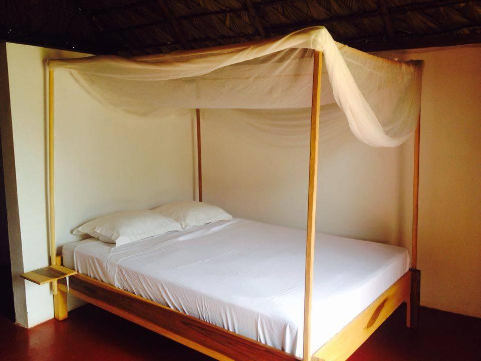 Double Room with Pool View photo 2