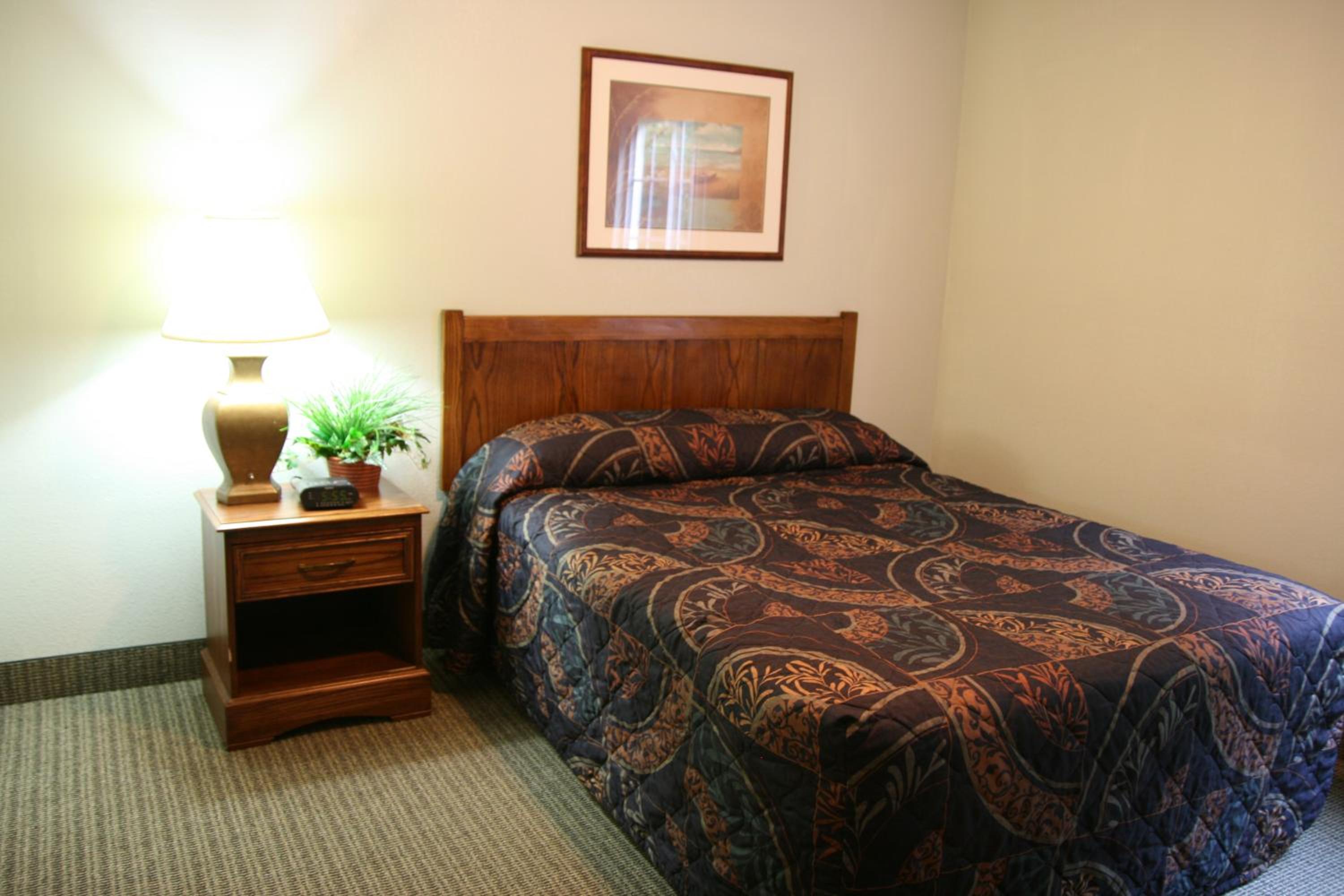 One-Bedroom Suite photo 1