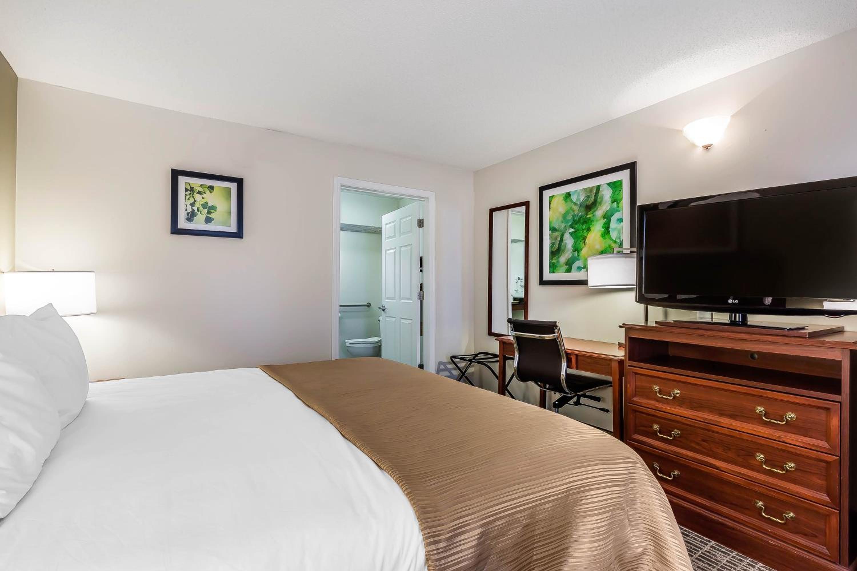King Room - Non-Smoking - Photo 6