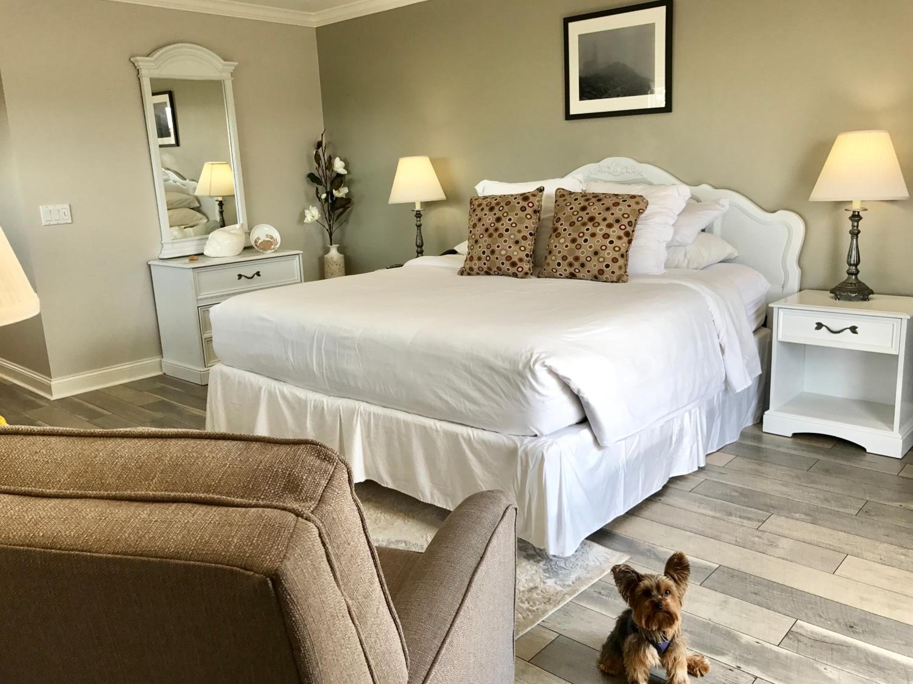 Superior King Room photo 2