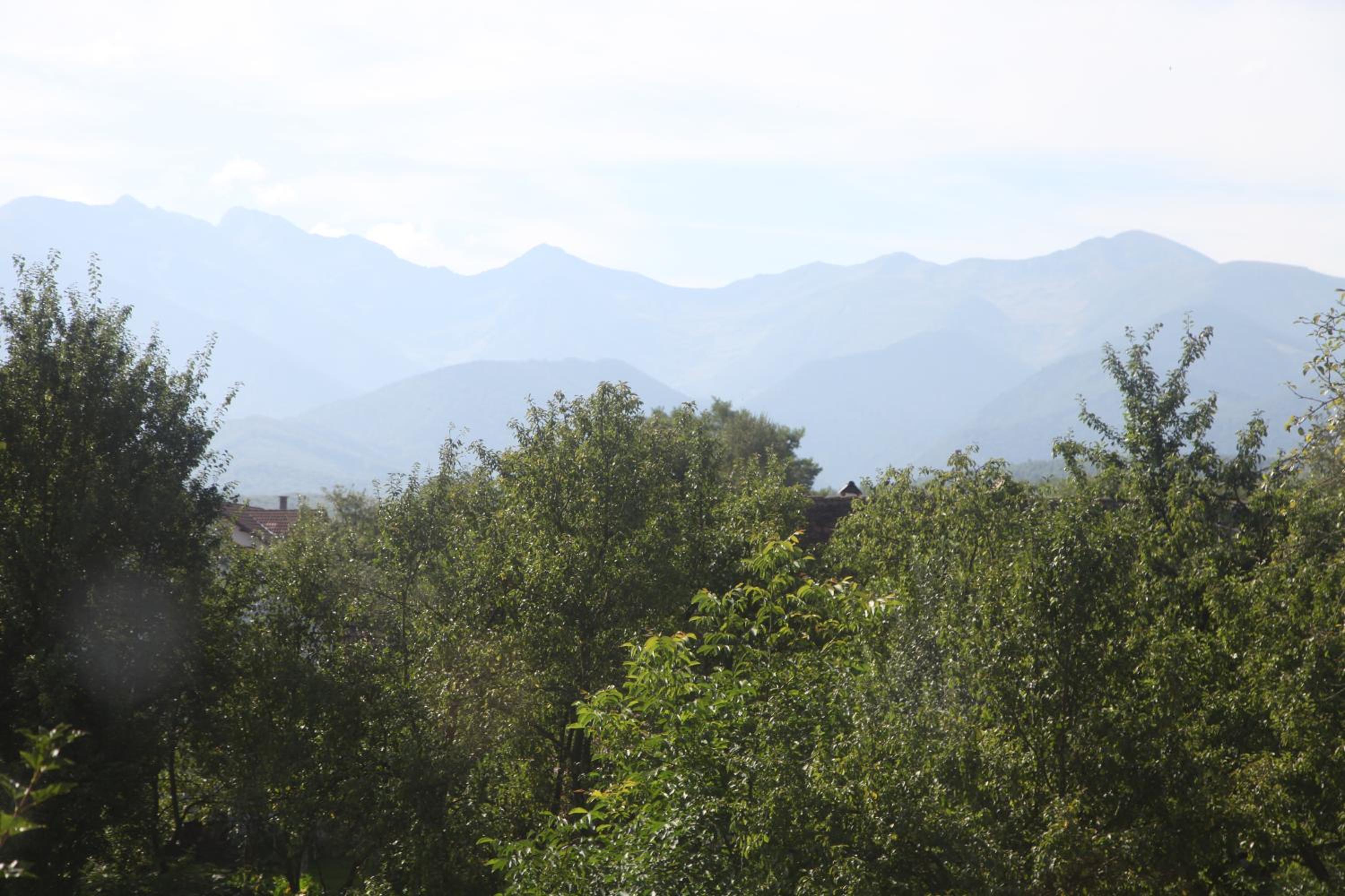 Villa - Photo 5
