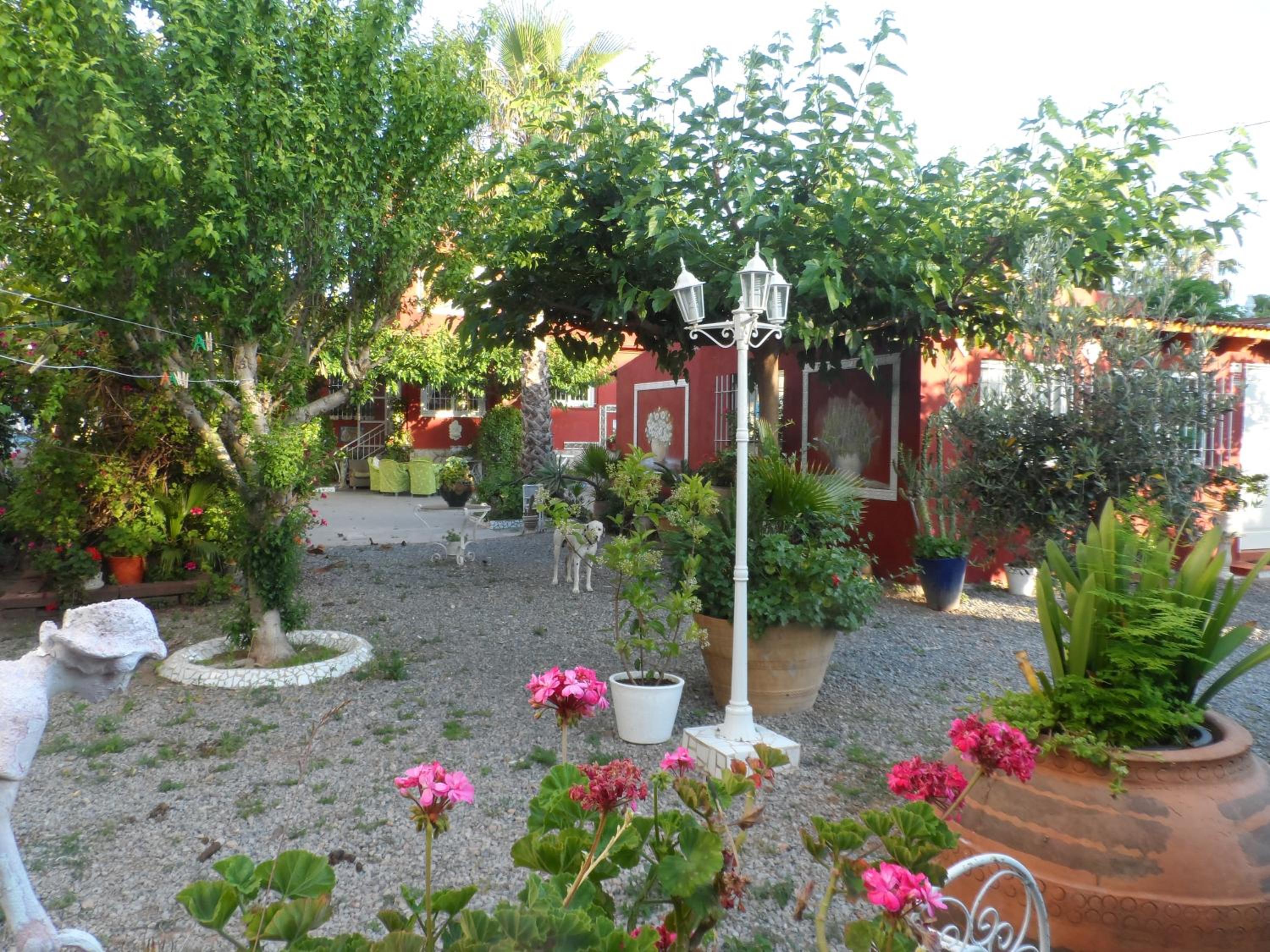 One-Bedroom House photo 2
